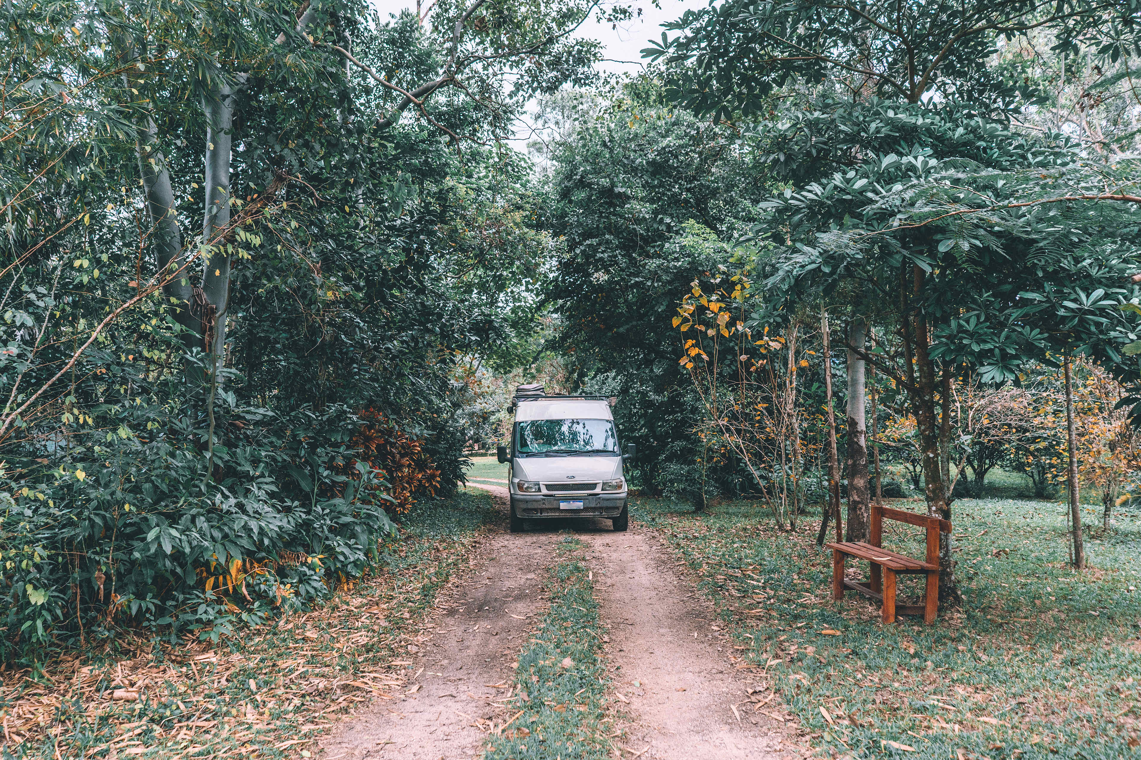The road in