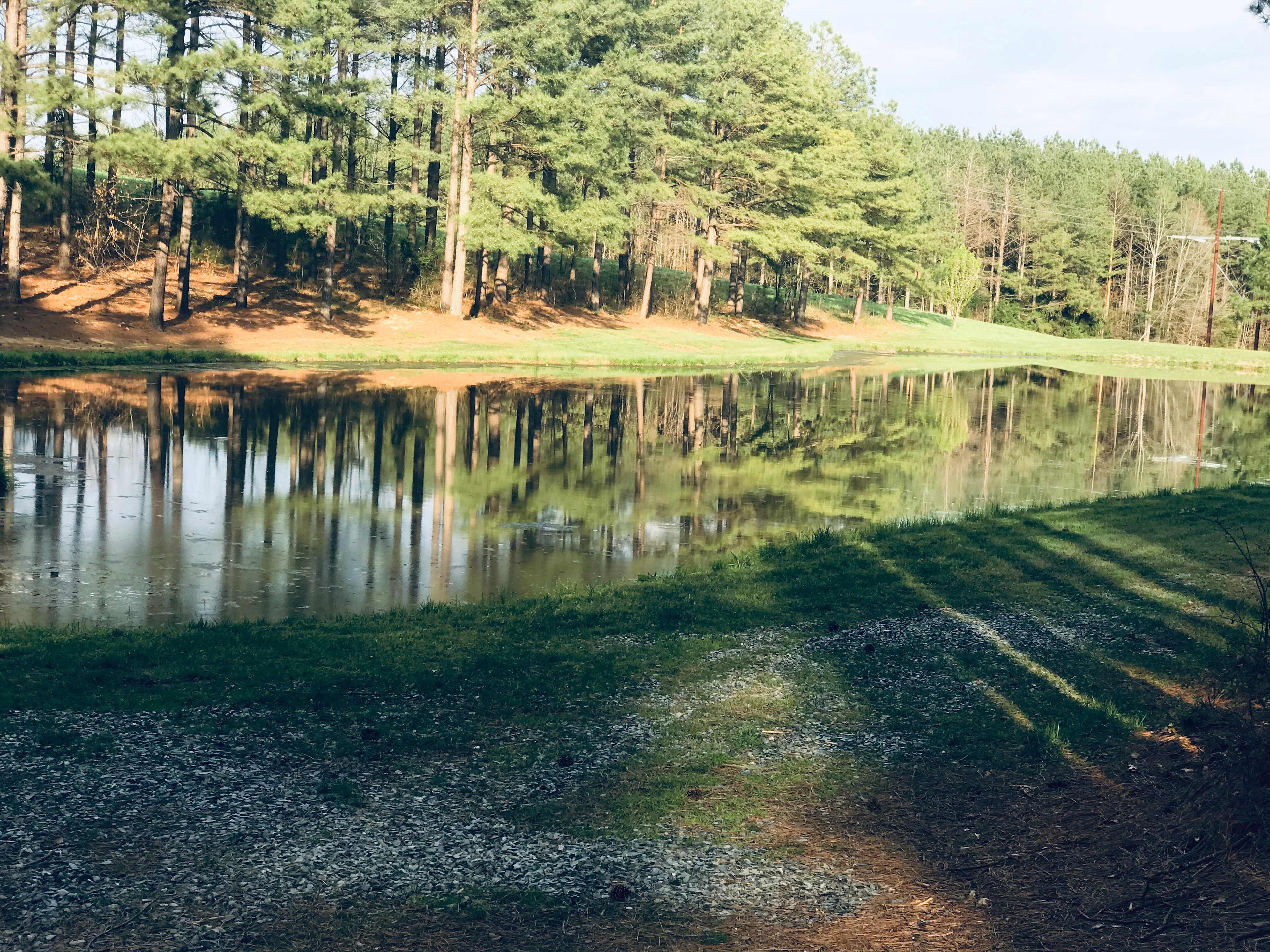  A view from the driveway down to the pond. 