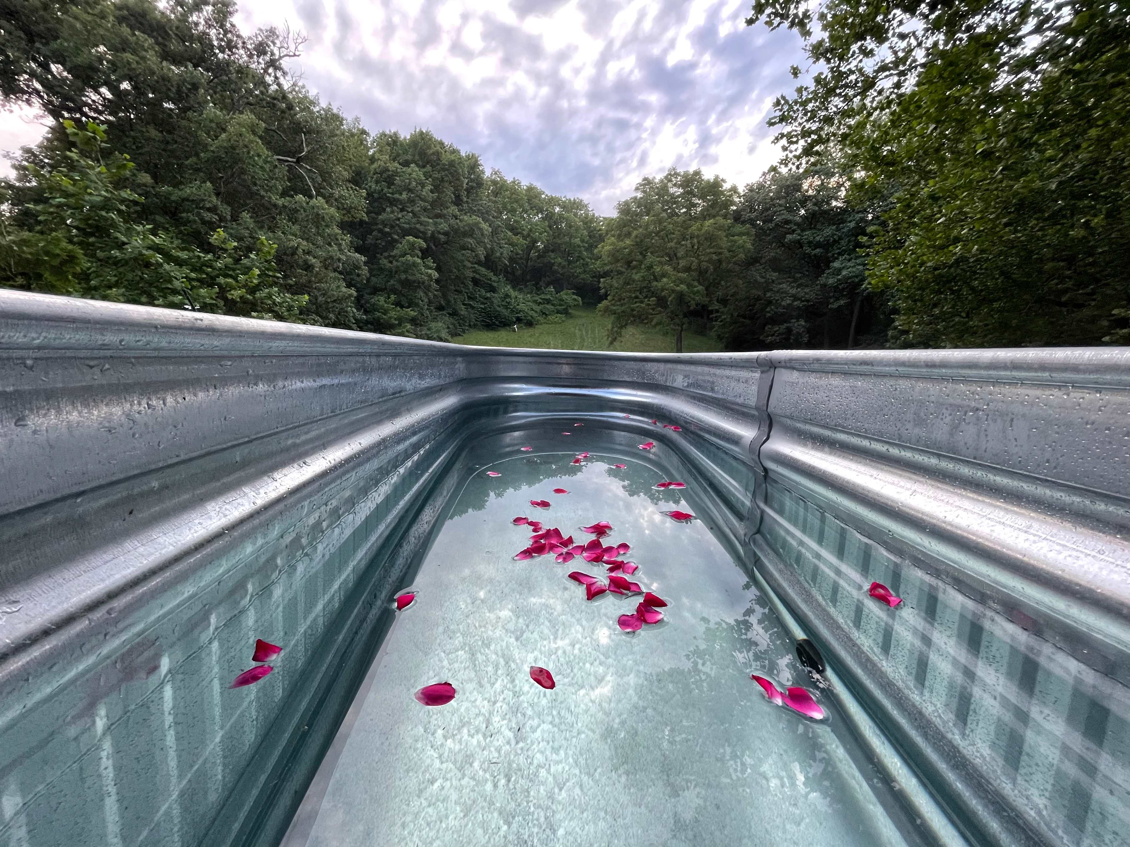 Forest Retreat & Spa