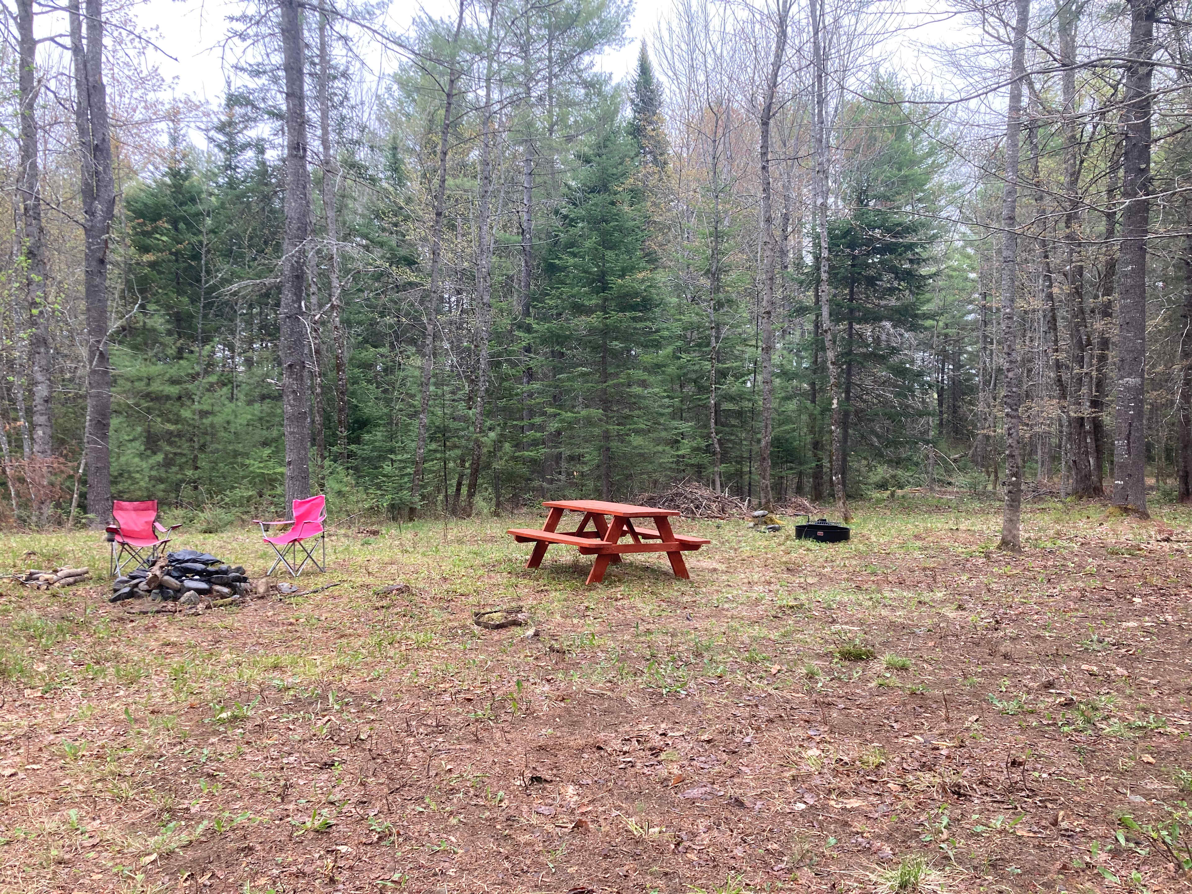 Picture of the site