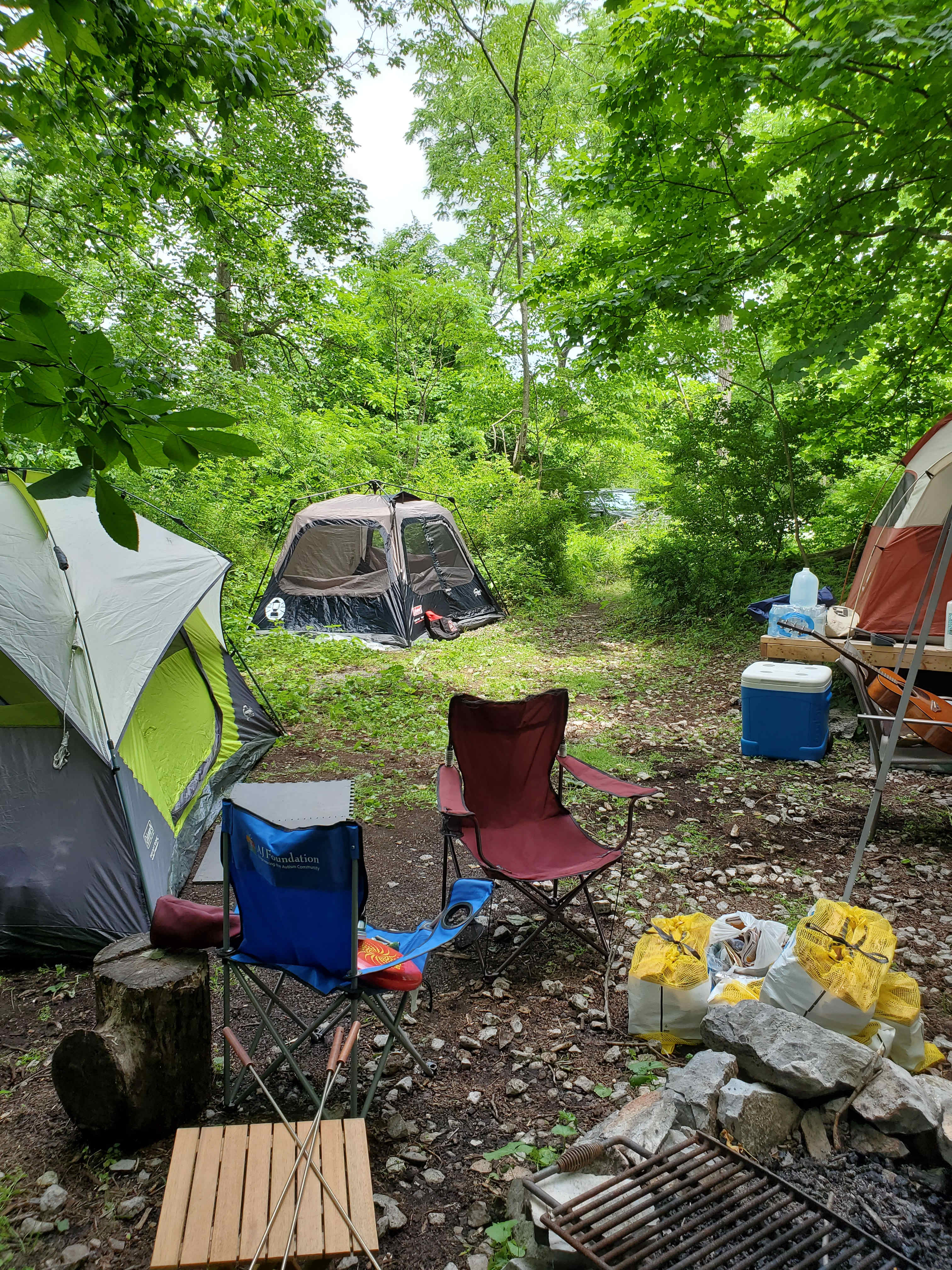 Picture of the site