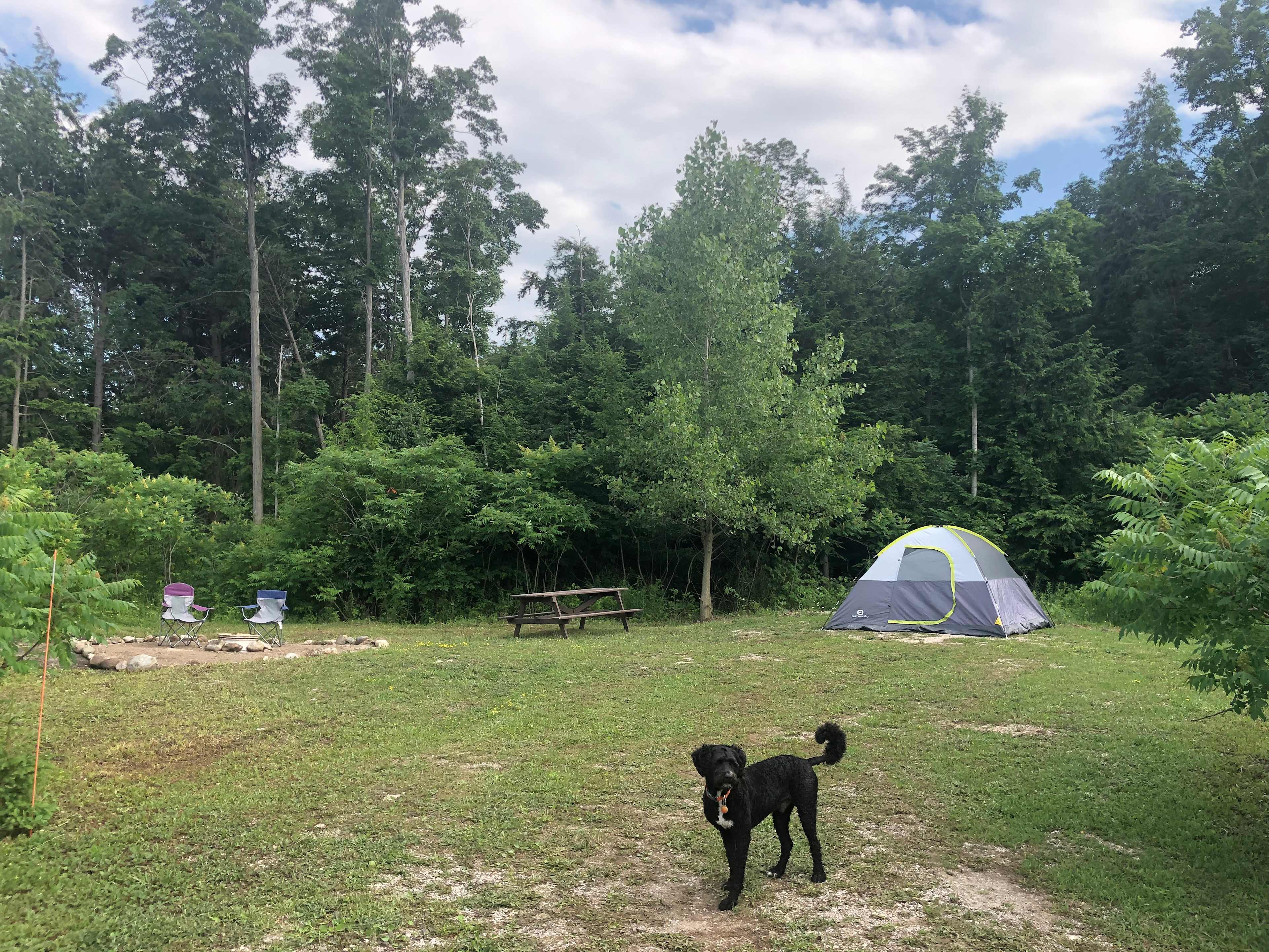 The Riverbend