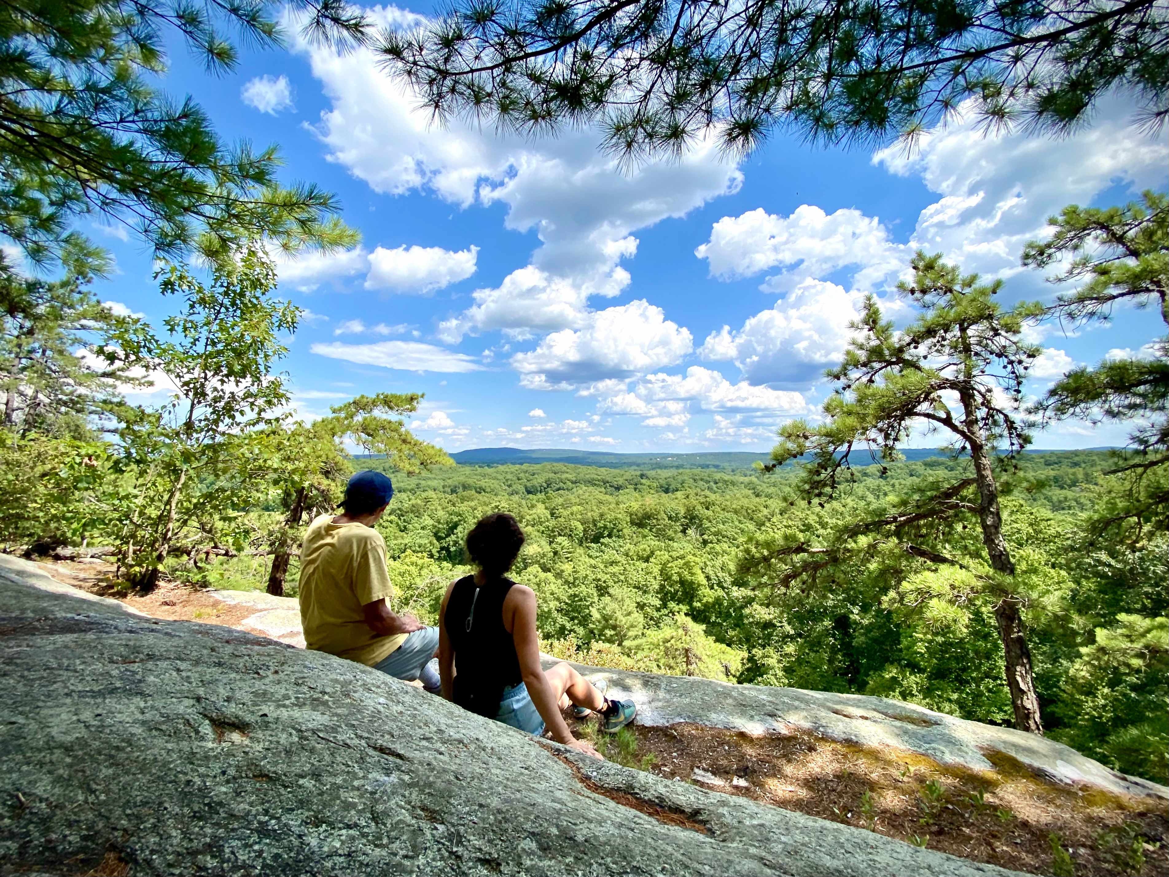 View from the Slabs in summer. This is a short walk on the farm from Red Fox Meadow. 