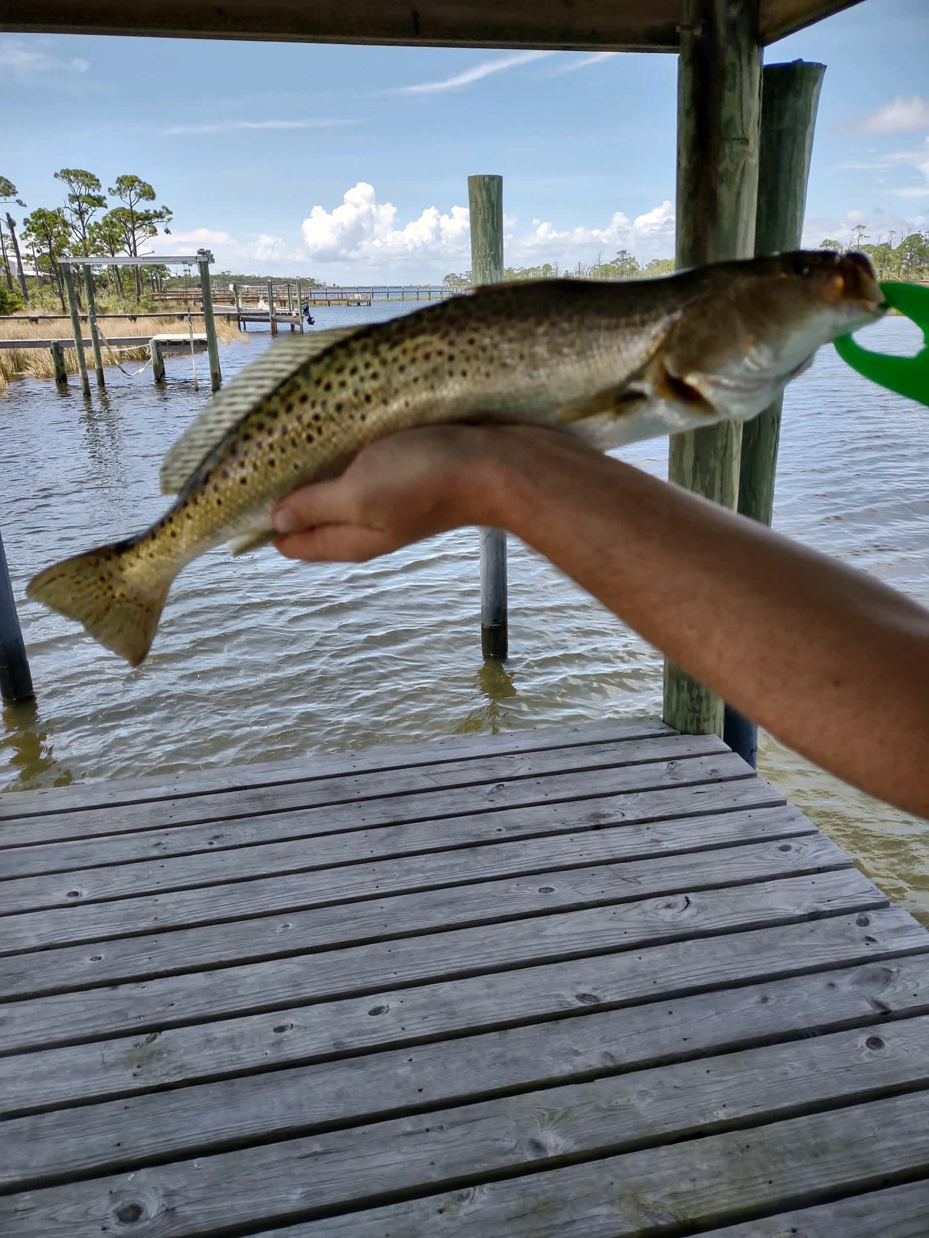 CSB Fish 'n Camp