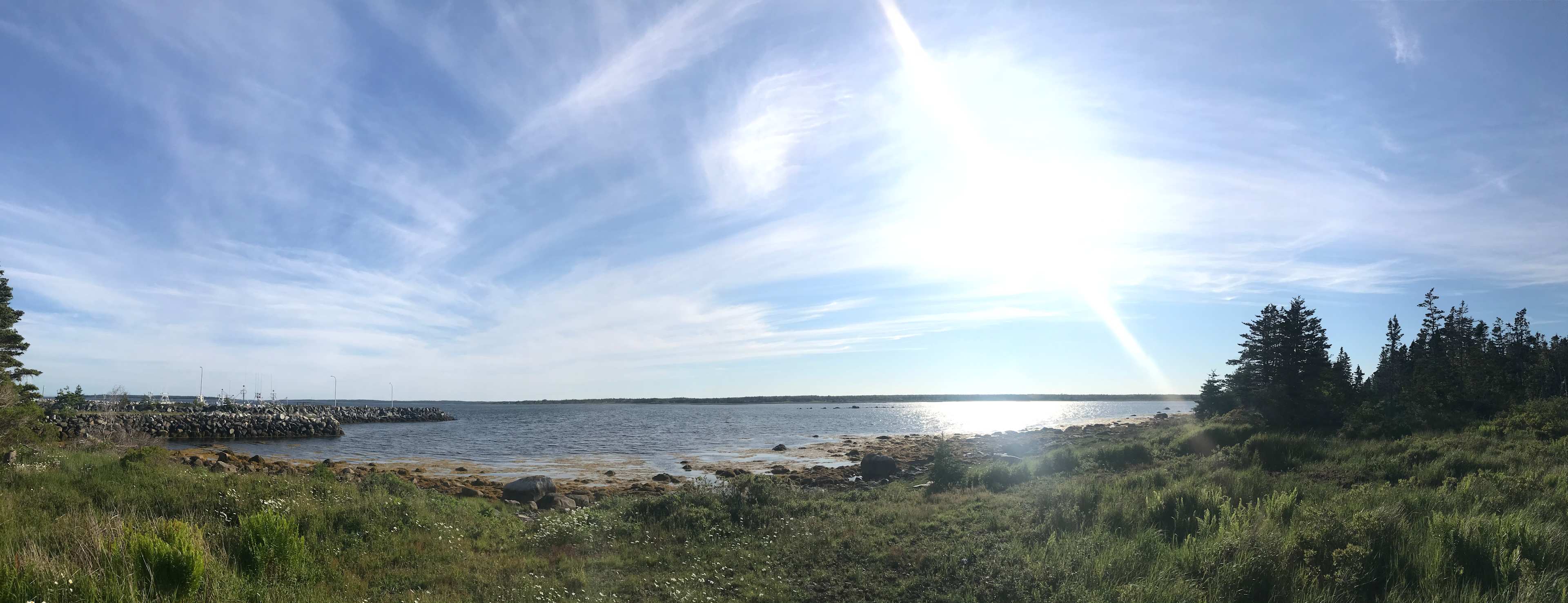 Picture of the site