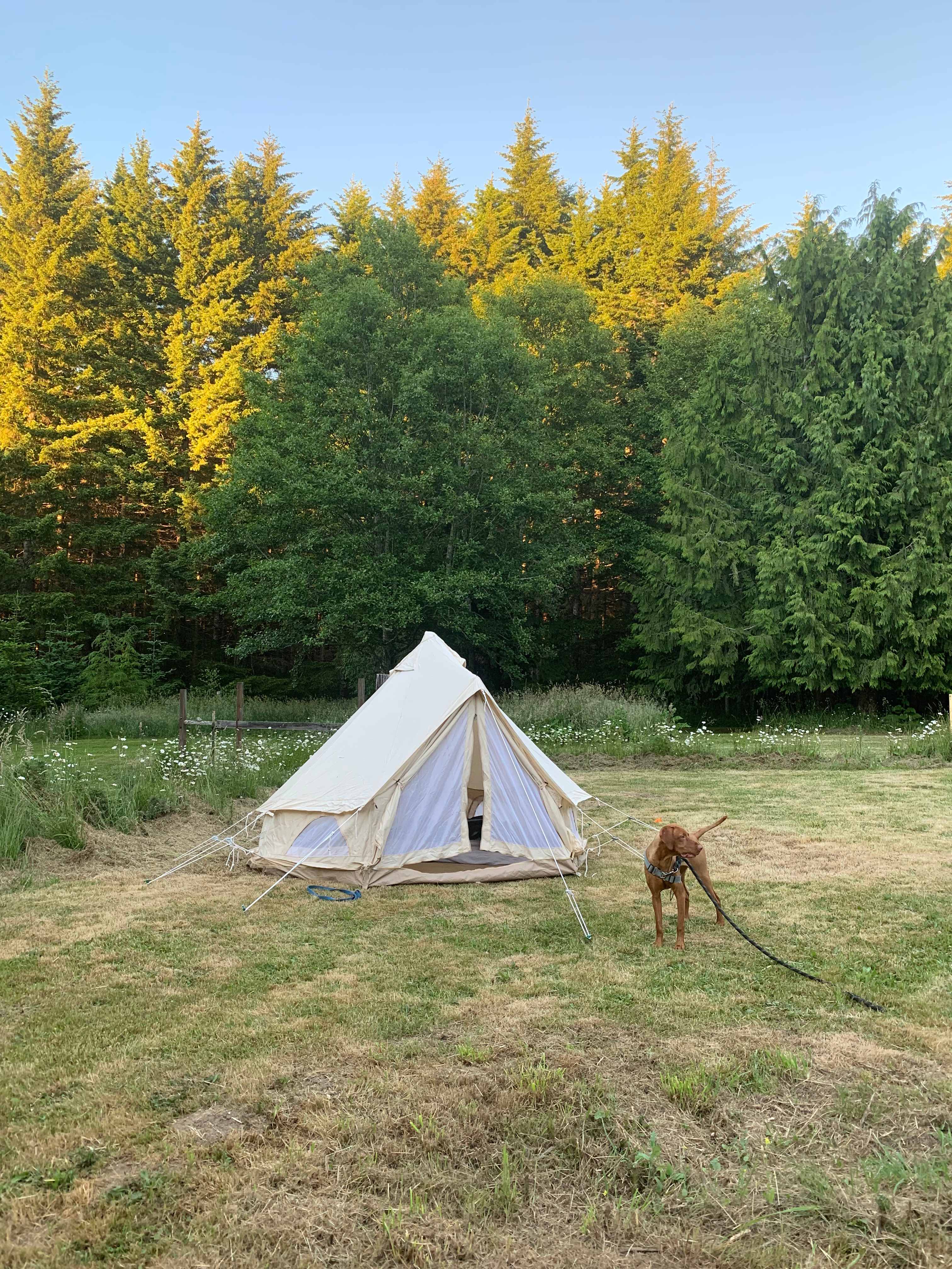 Picture of the site
