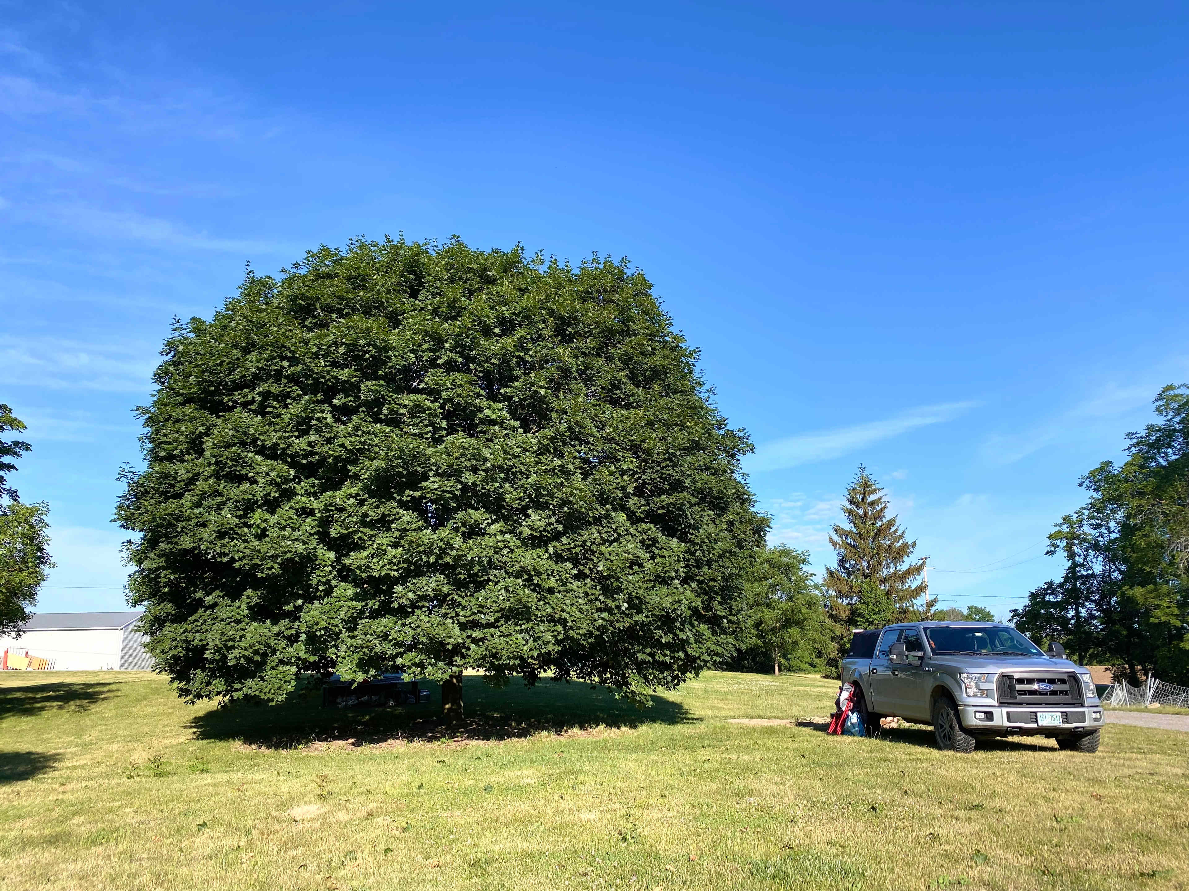 Peaceful Pastures Farm Camping