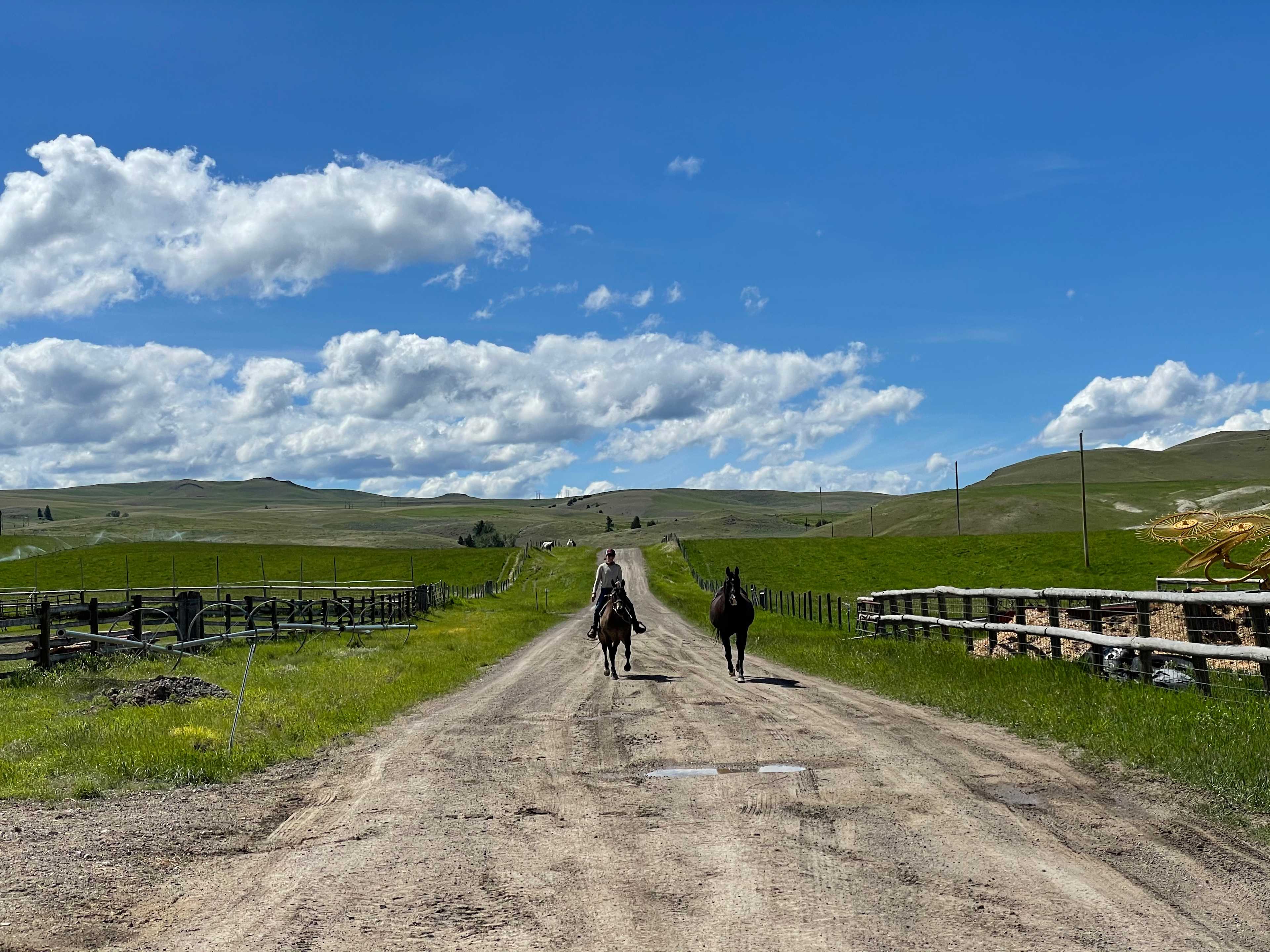 Mentzer Ranch