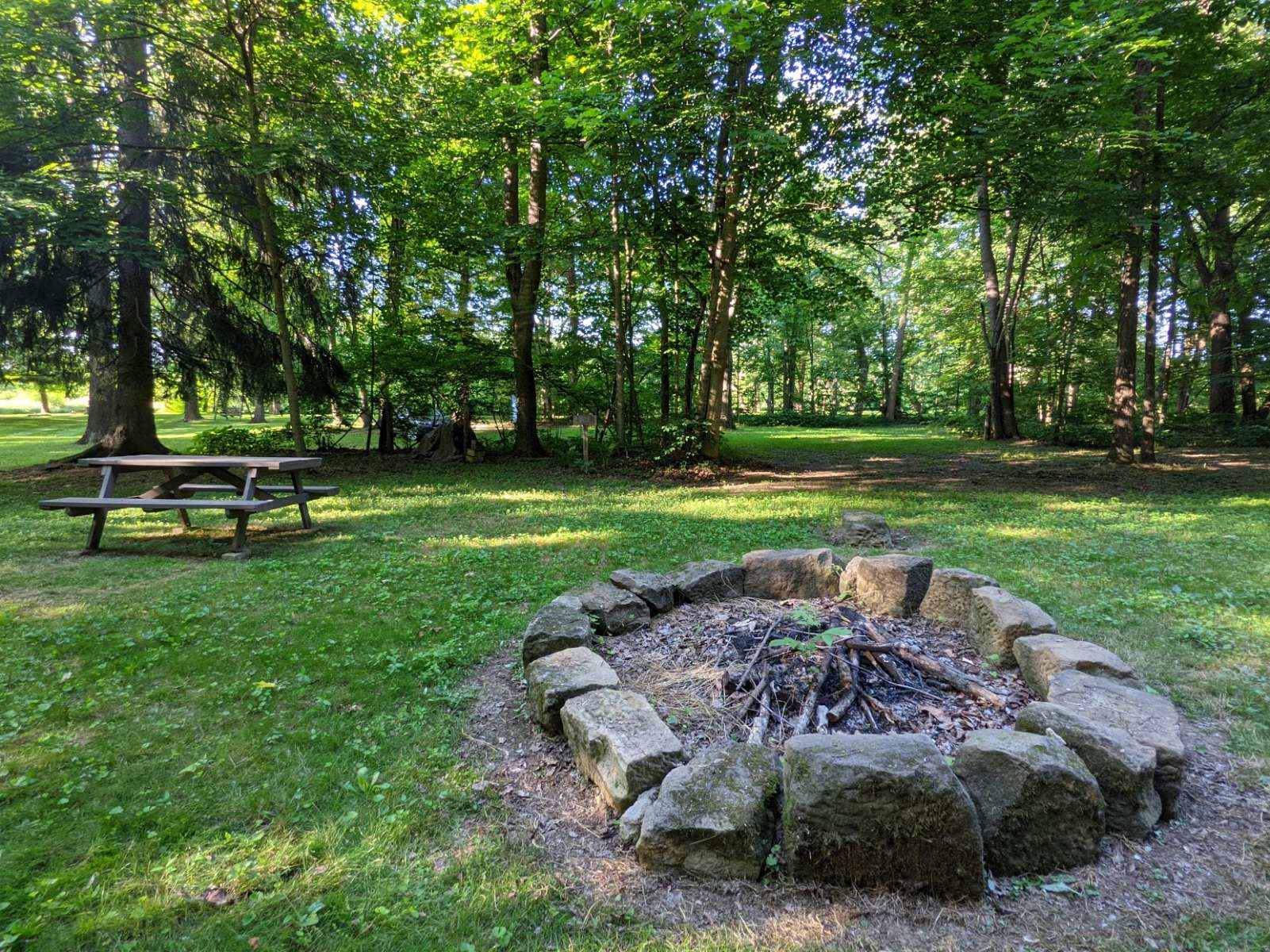 Picture of the site