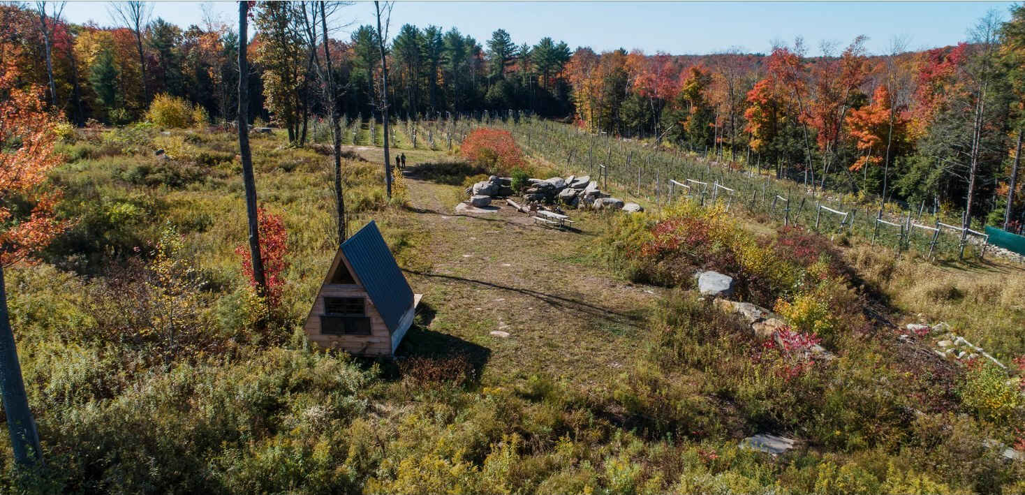 Majestic Farm & Organic Orchard