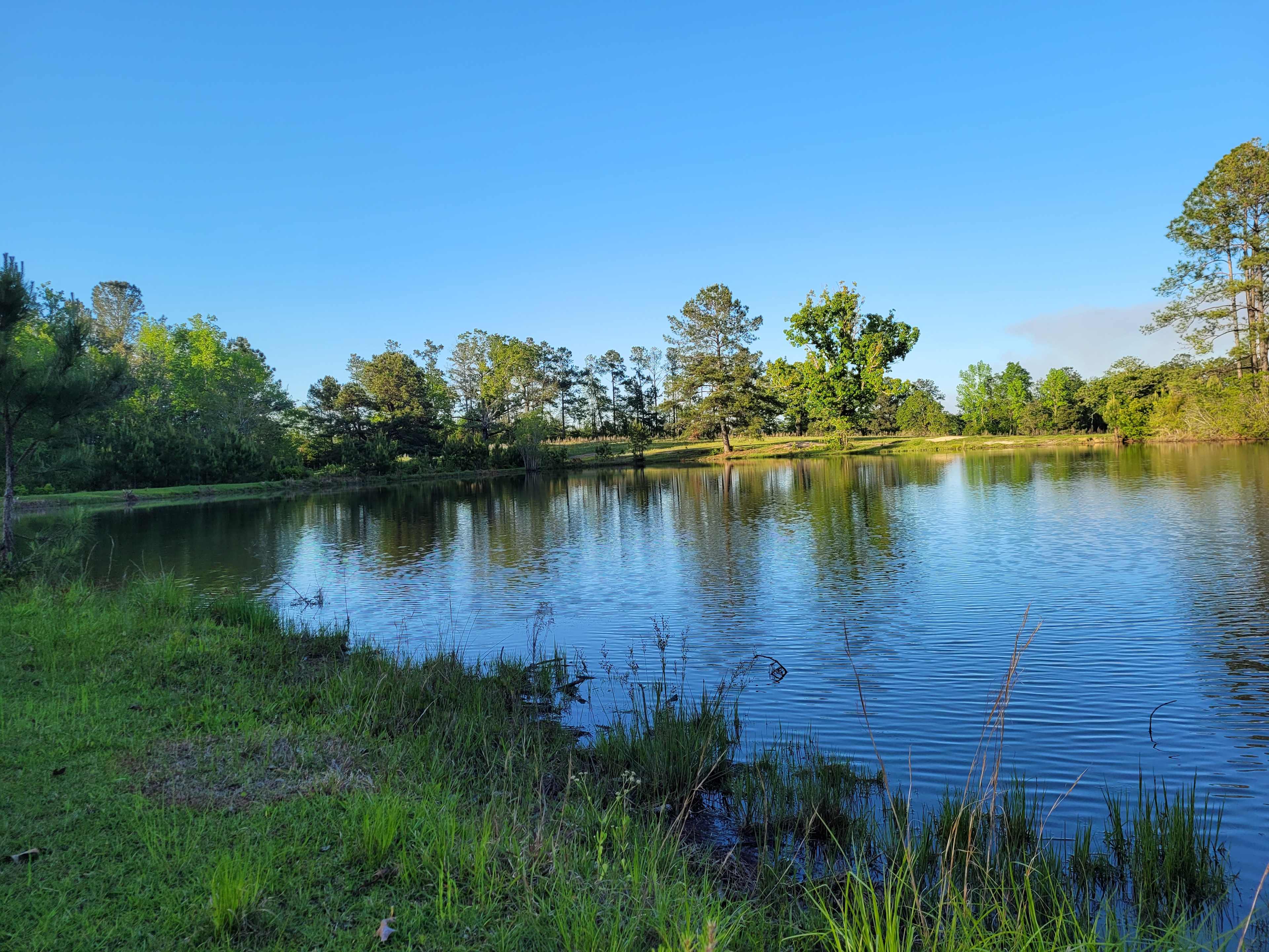 View of Sagamore Pond from the top of the property.