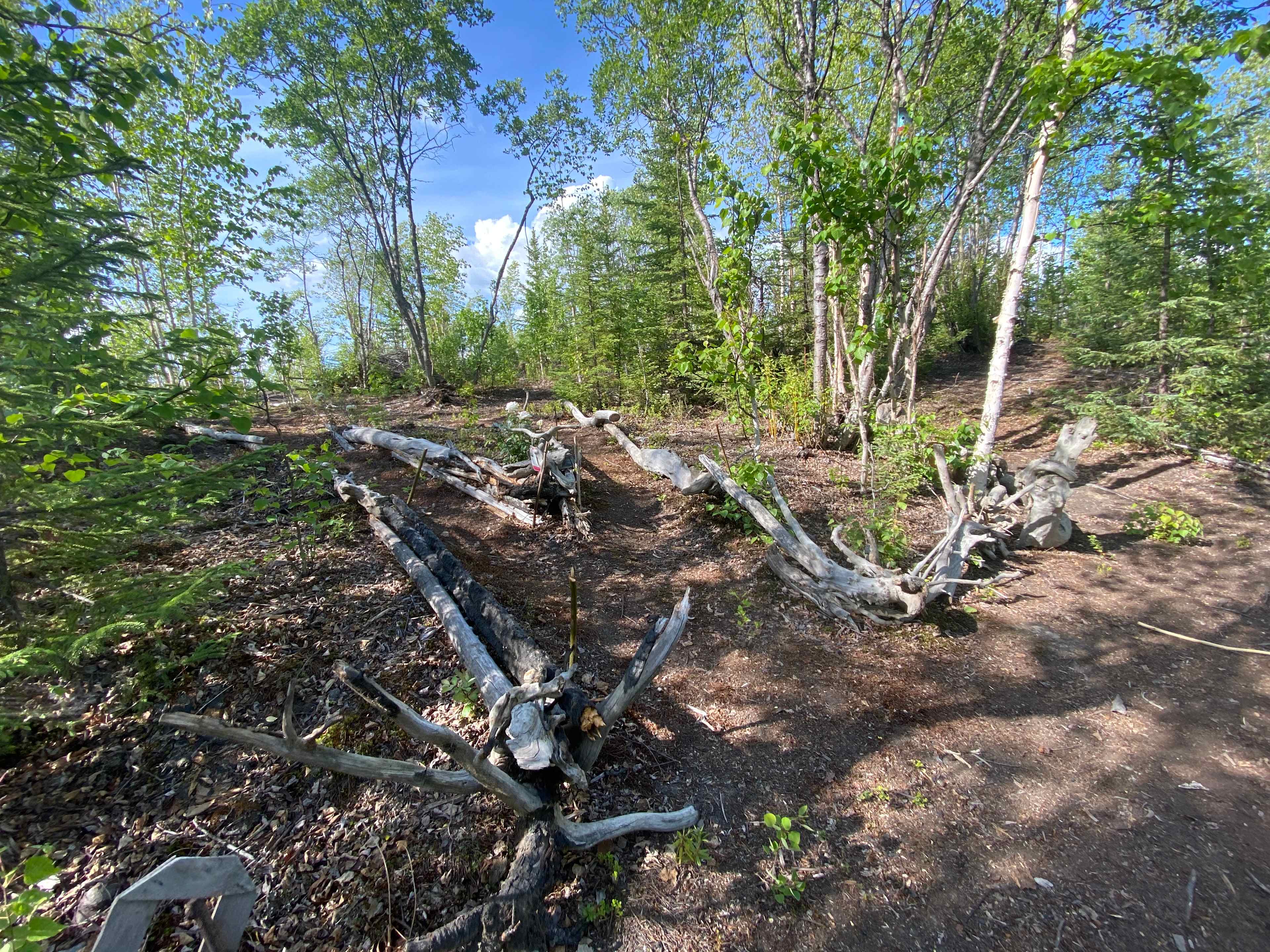 Picture of the site