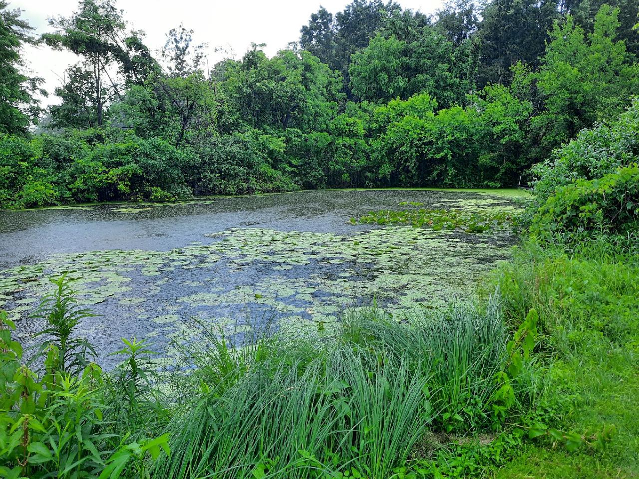 Shipshewana lake with channel