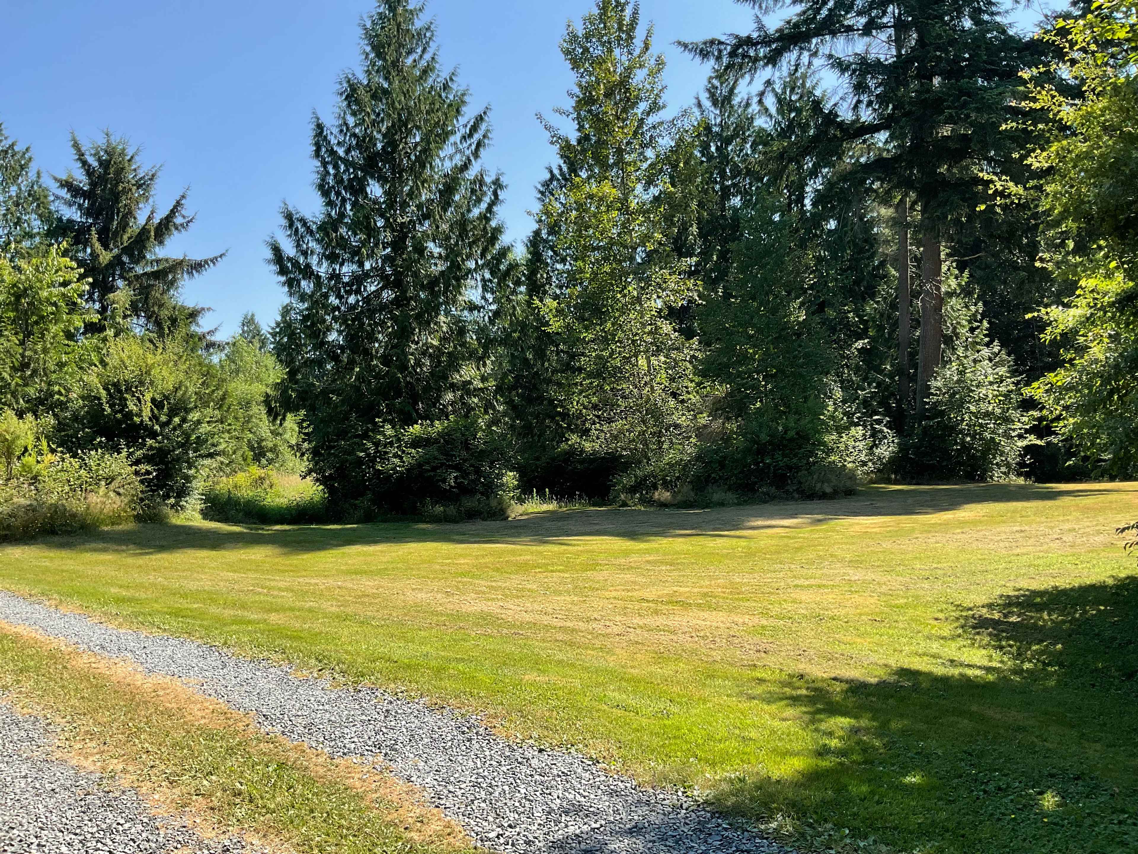 Private setting under tall trees
