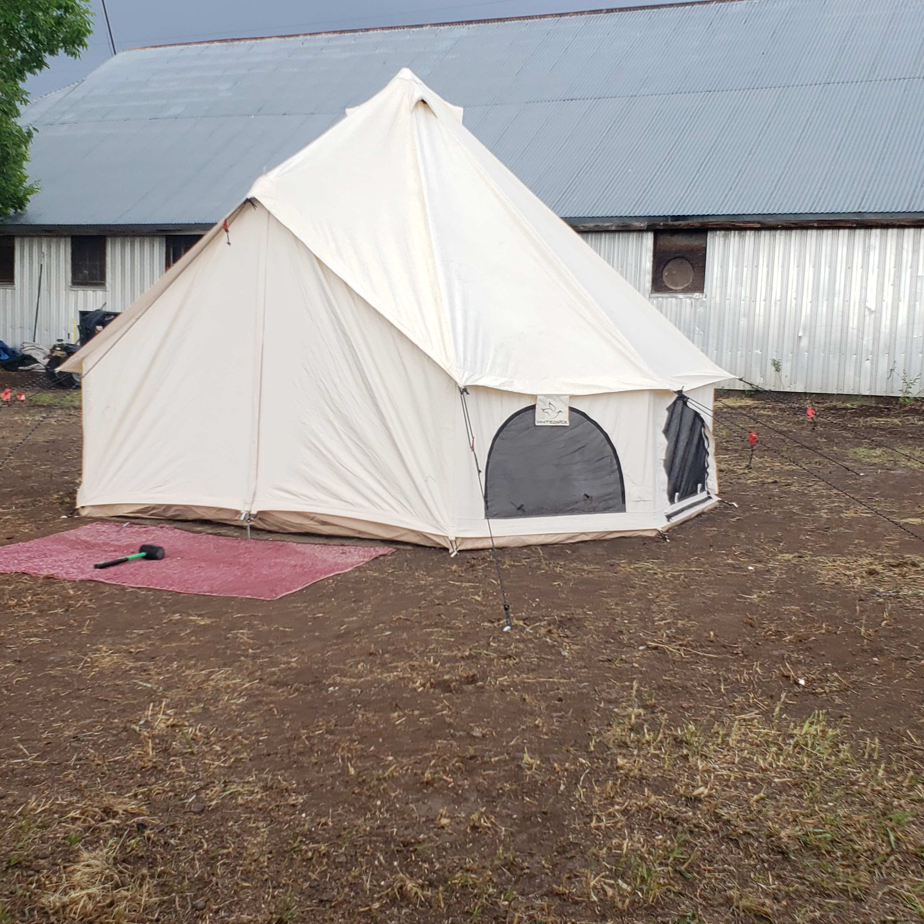 This is Ducky our all season Bell tent 