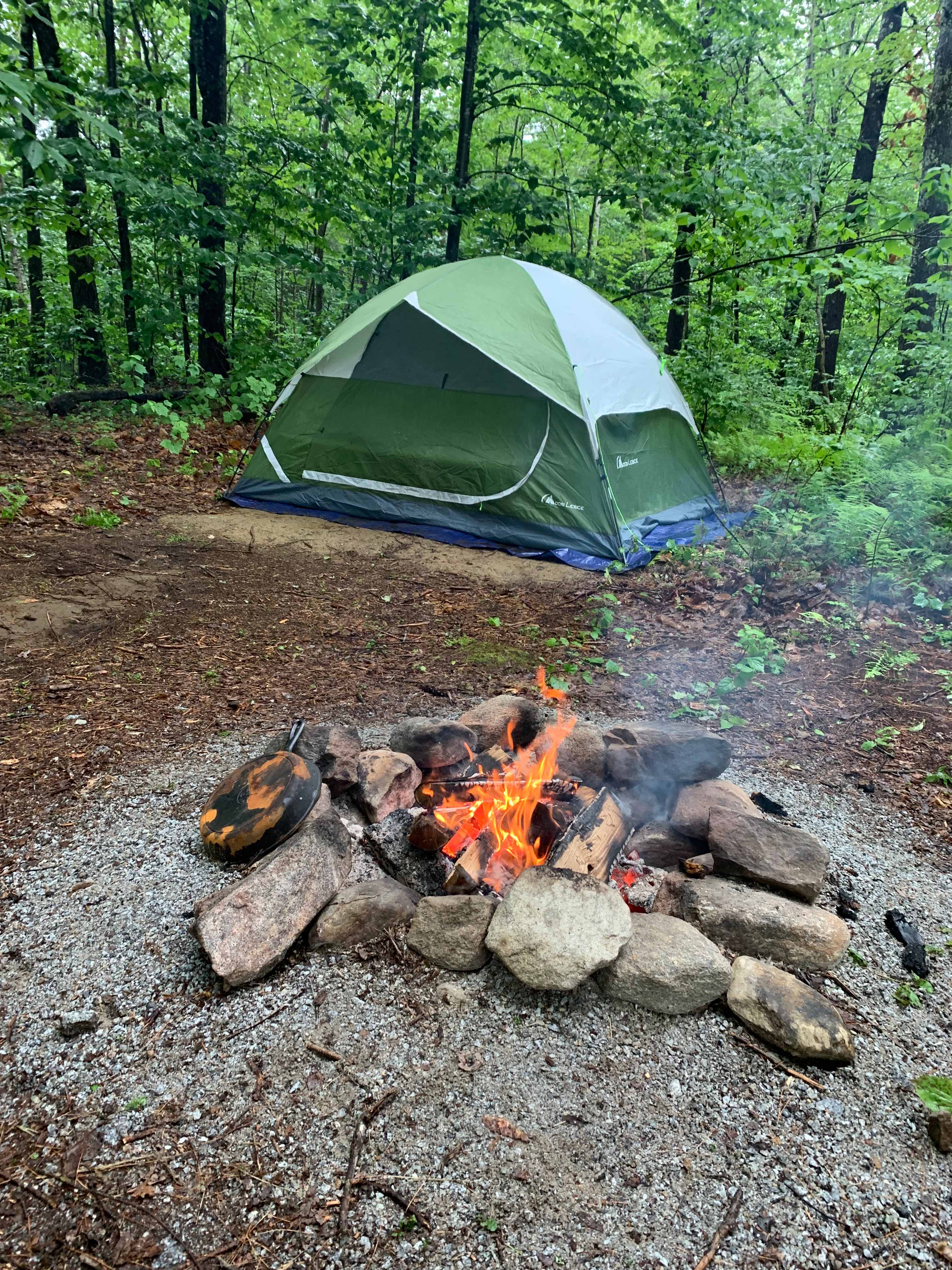 Picture of the site