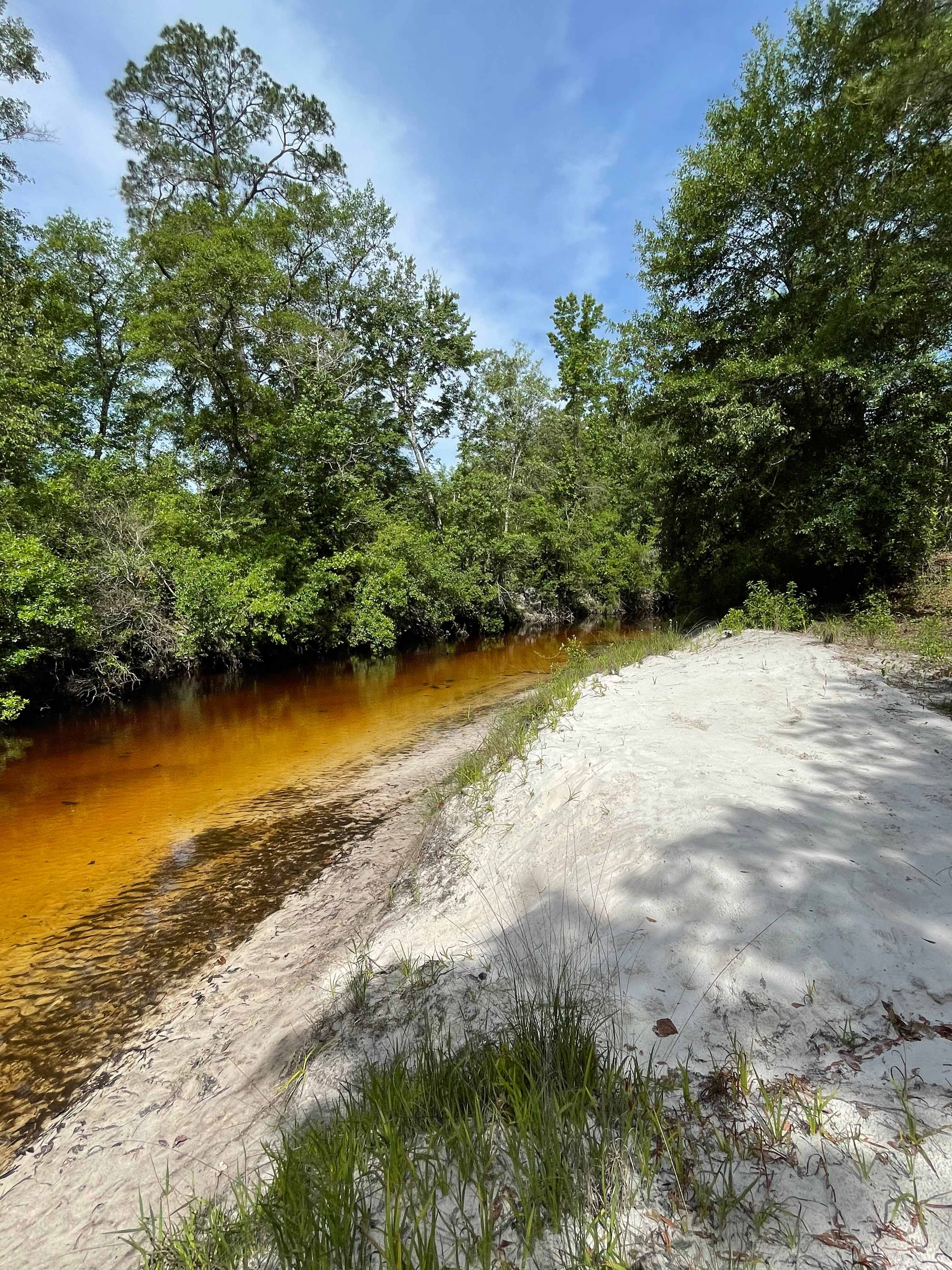 Larry & Sheila's Blackwater Getaway