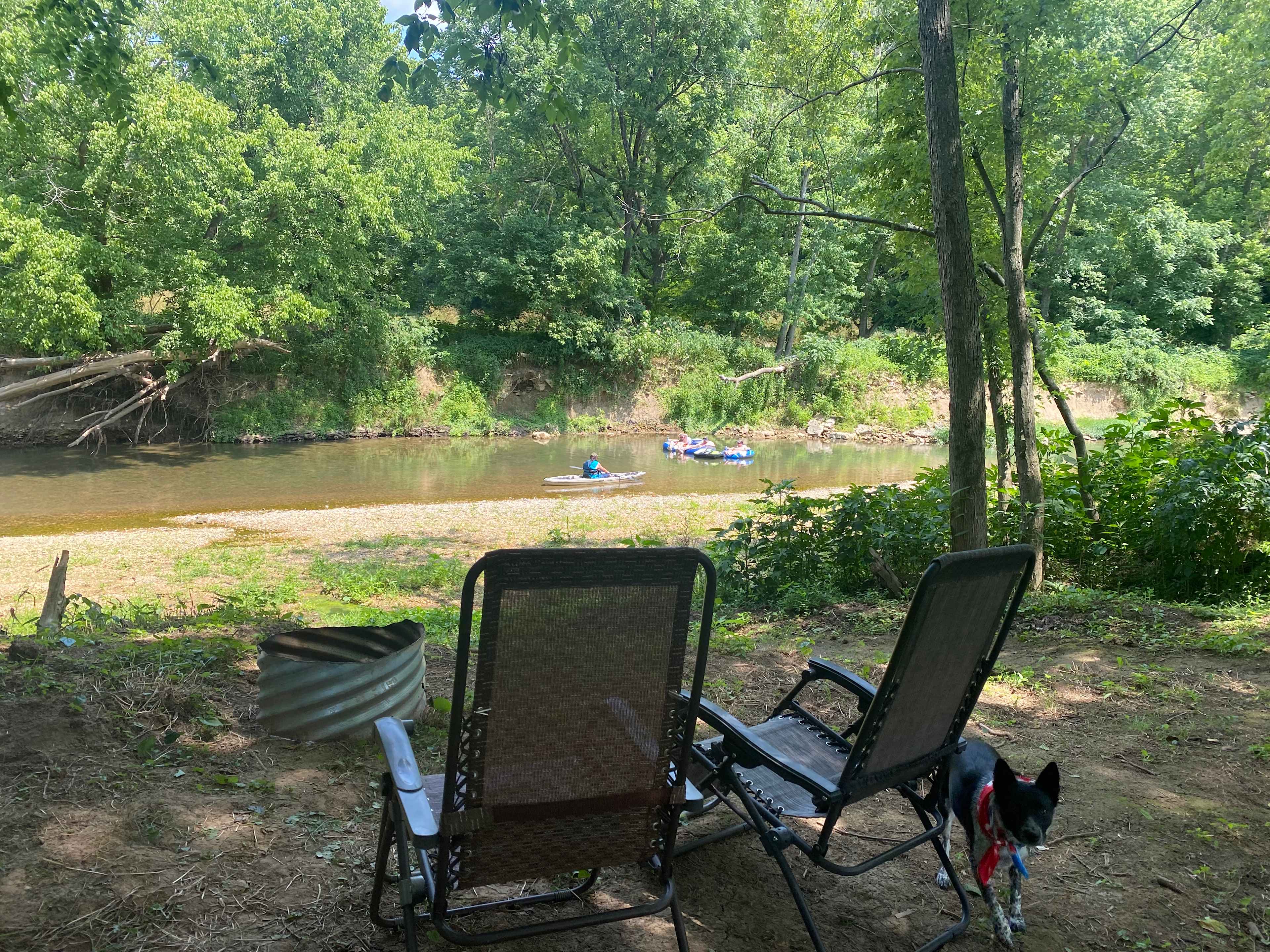 Picture of the site