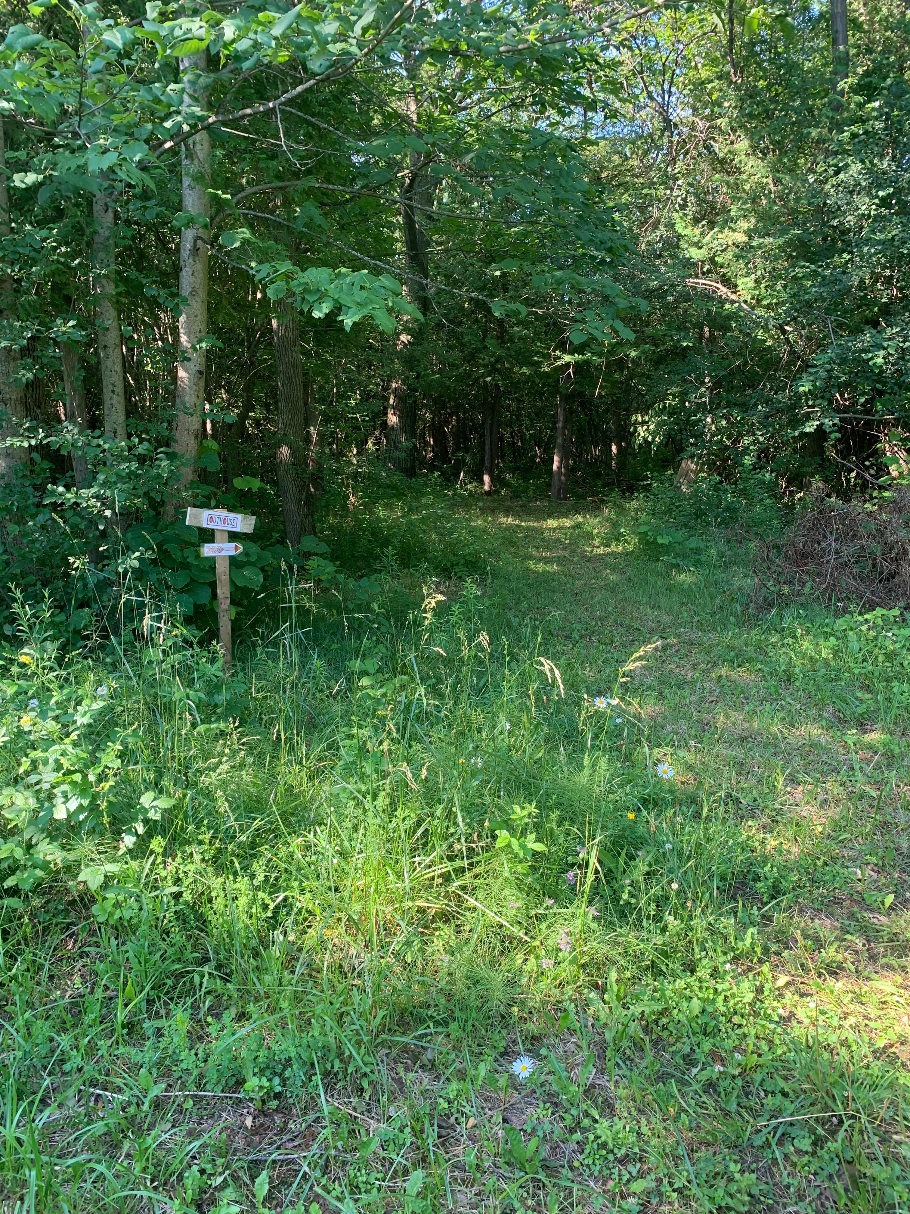 trail to outhouse 