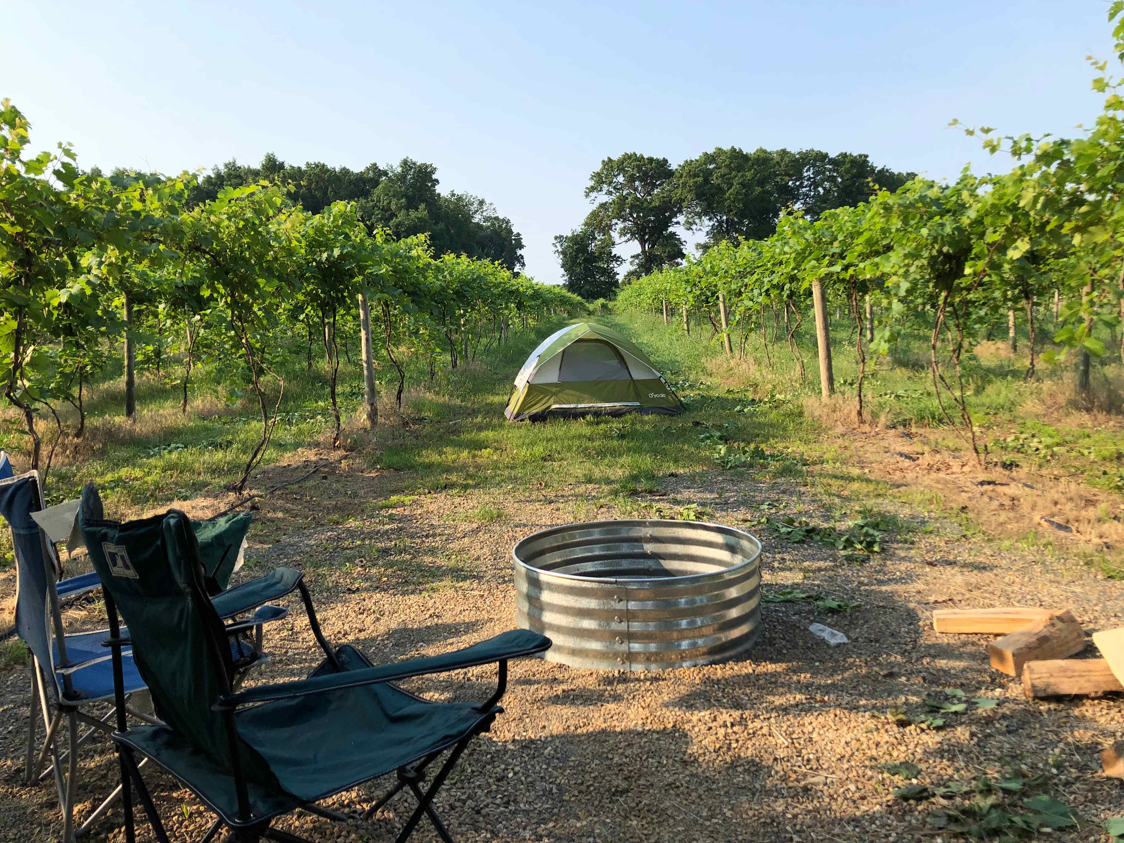 Picture of the site