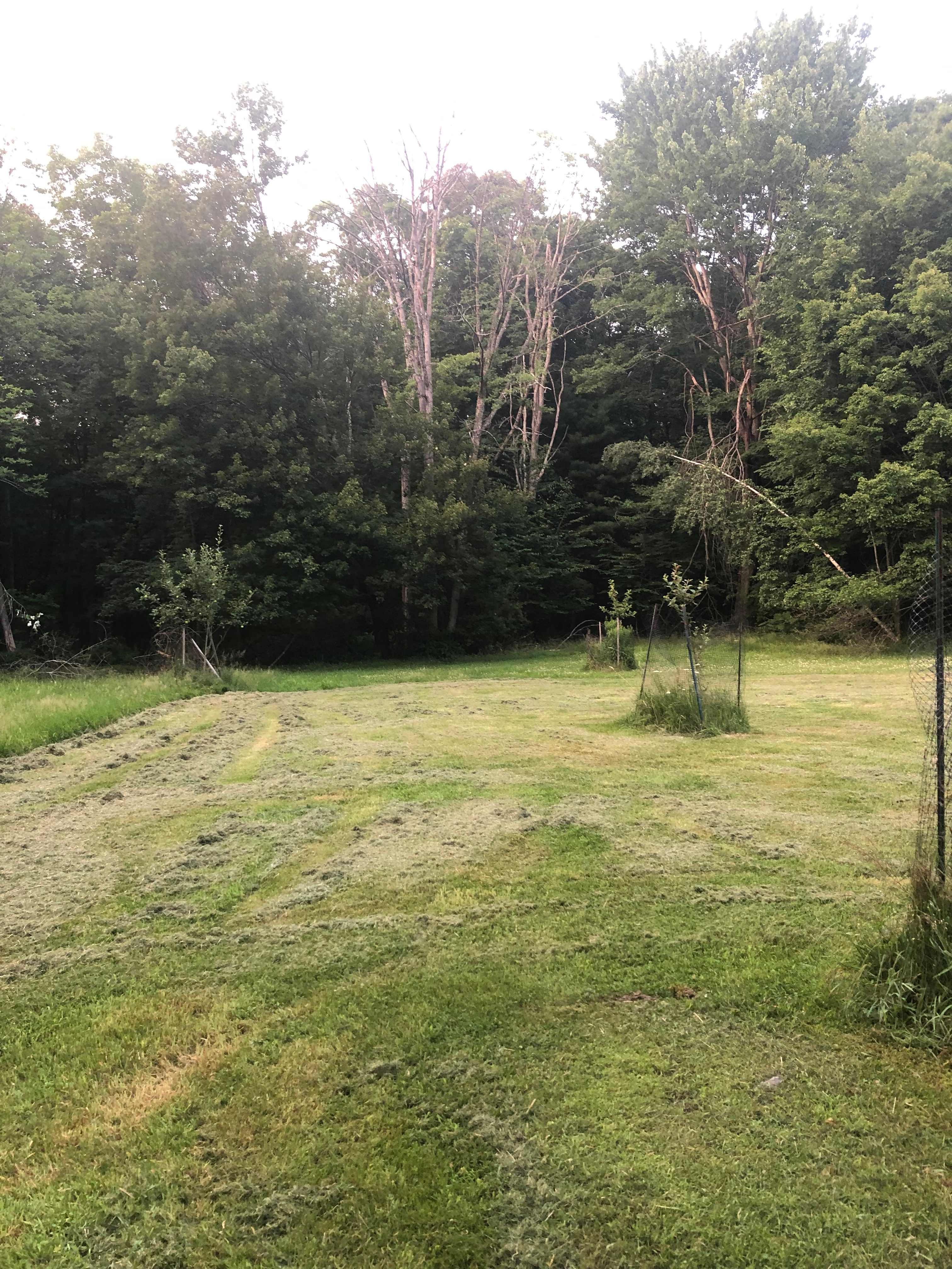 Forest or field camping