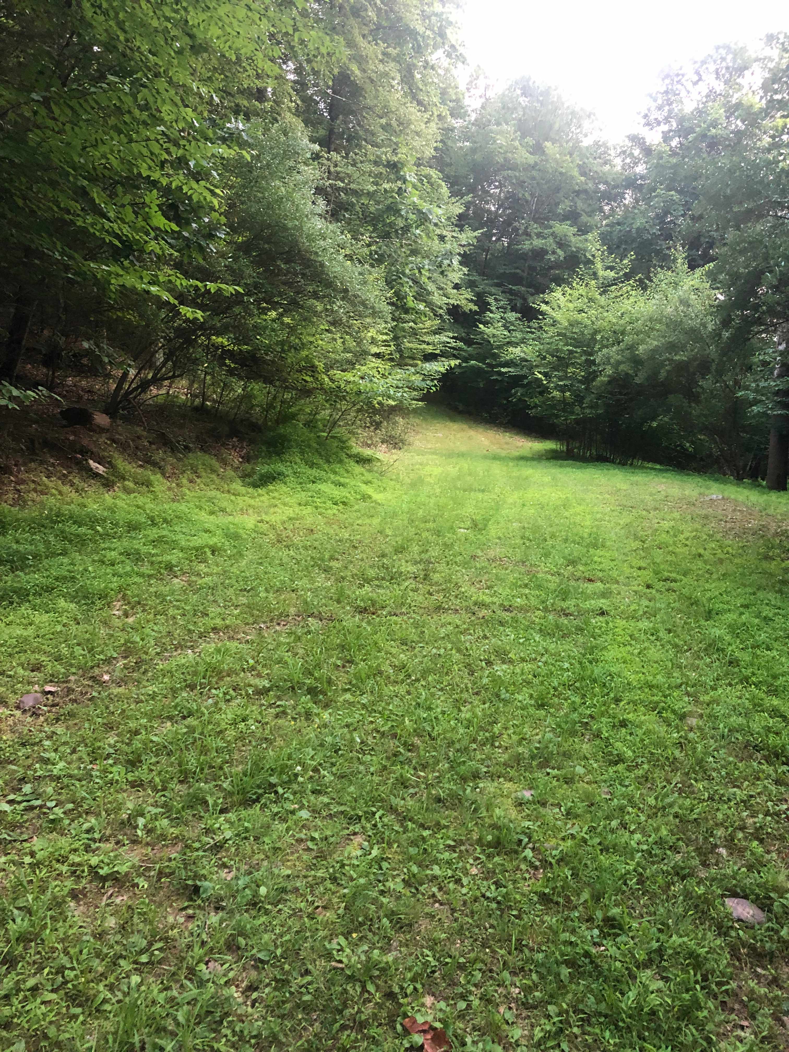Forest or field camping
