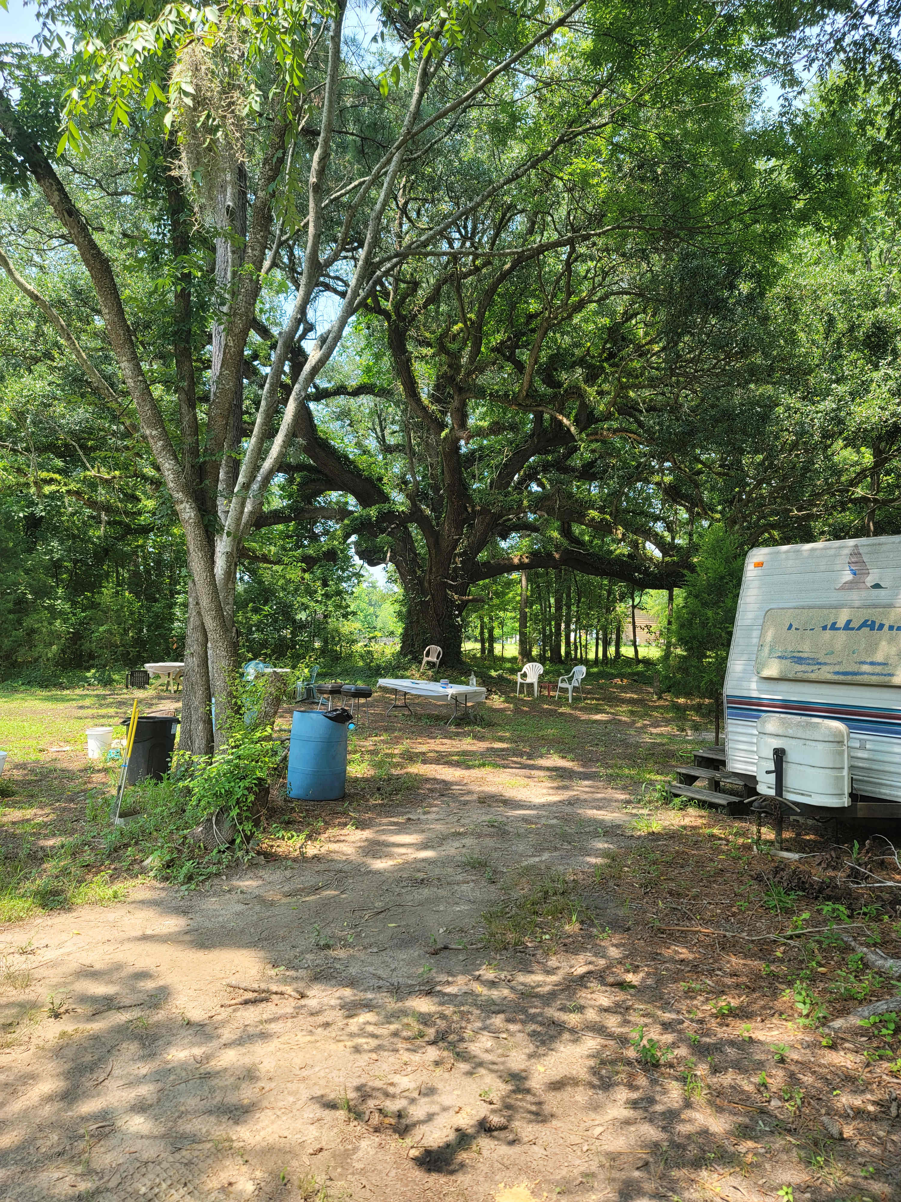 Our site and the common area next to us