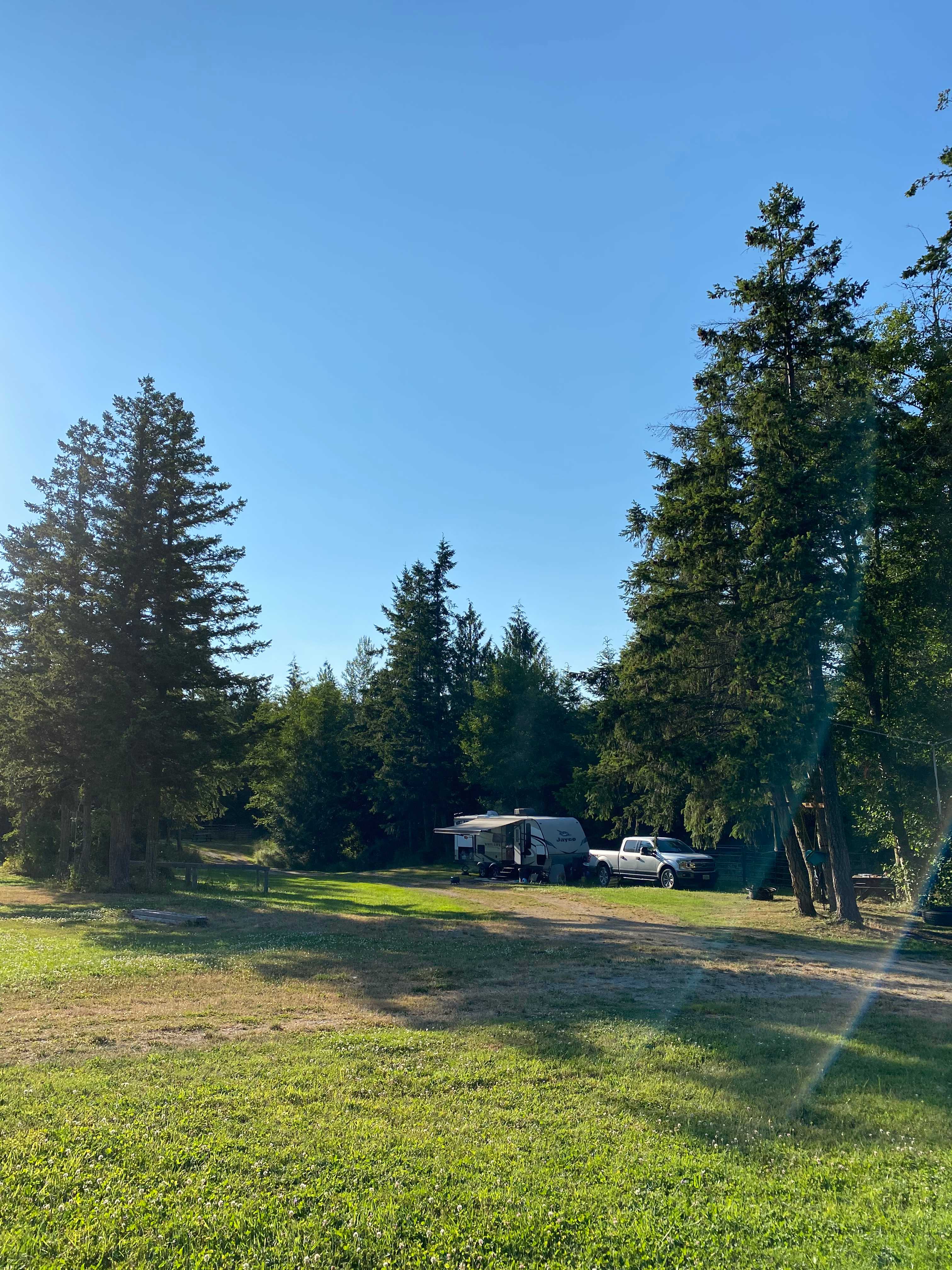 Picture of the site