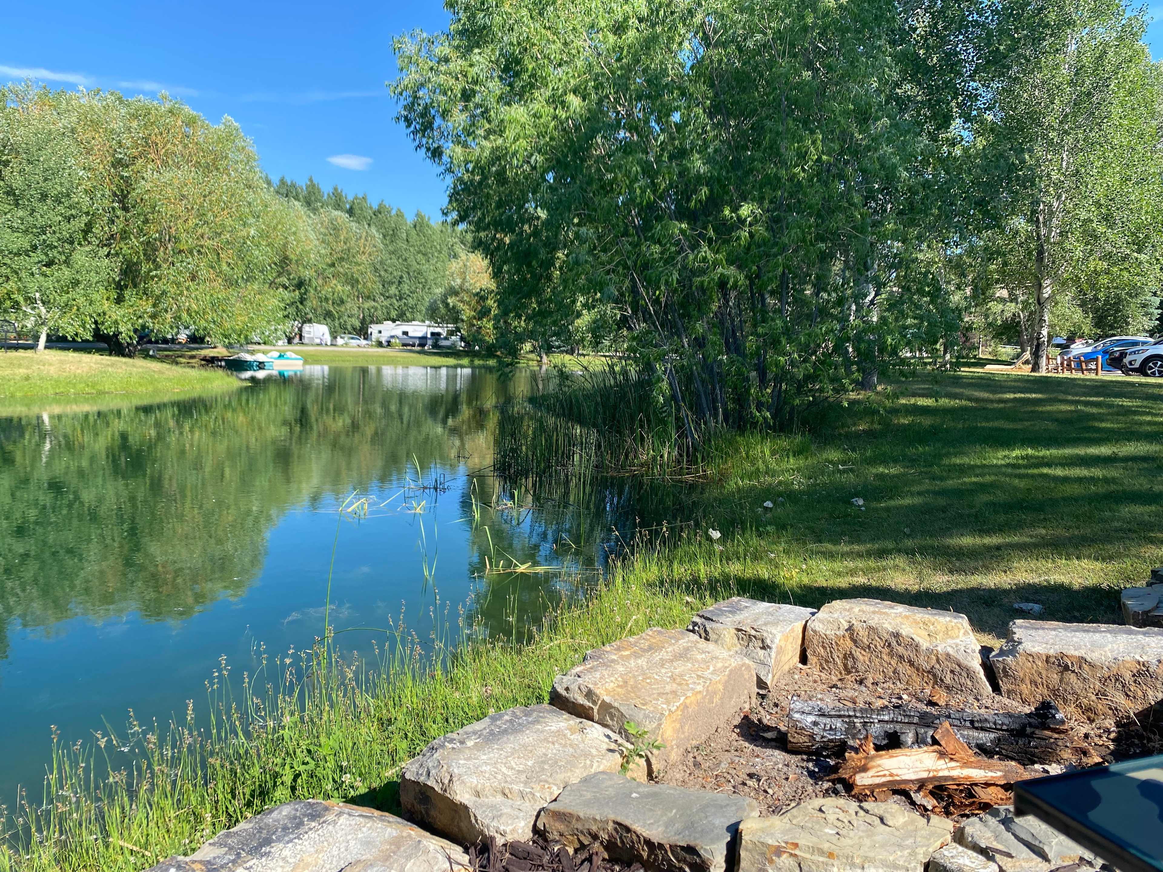 Picture of the site