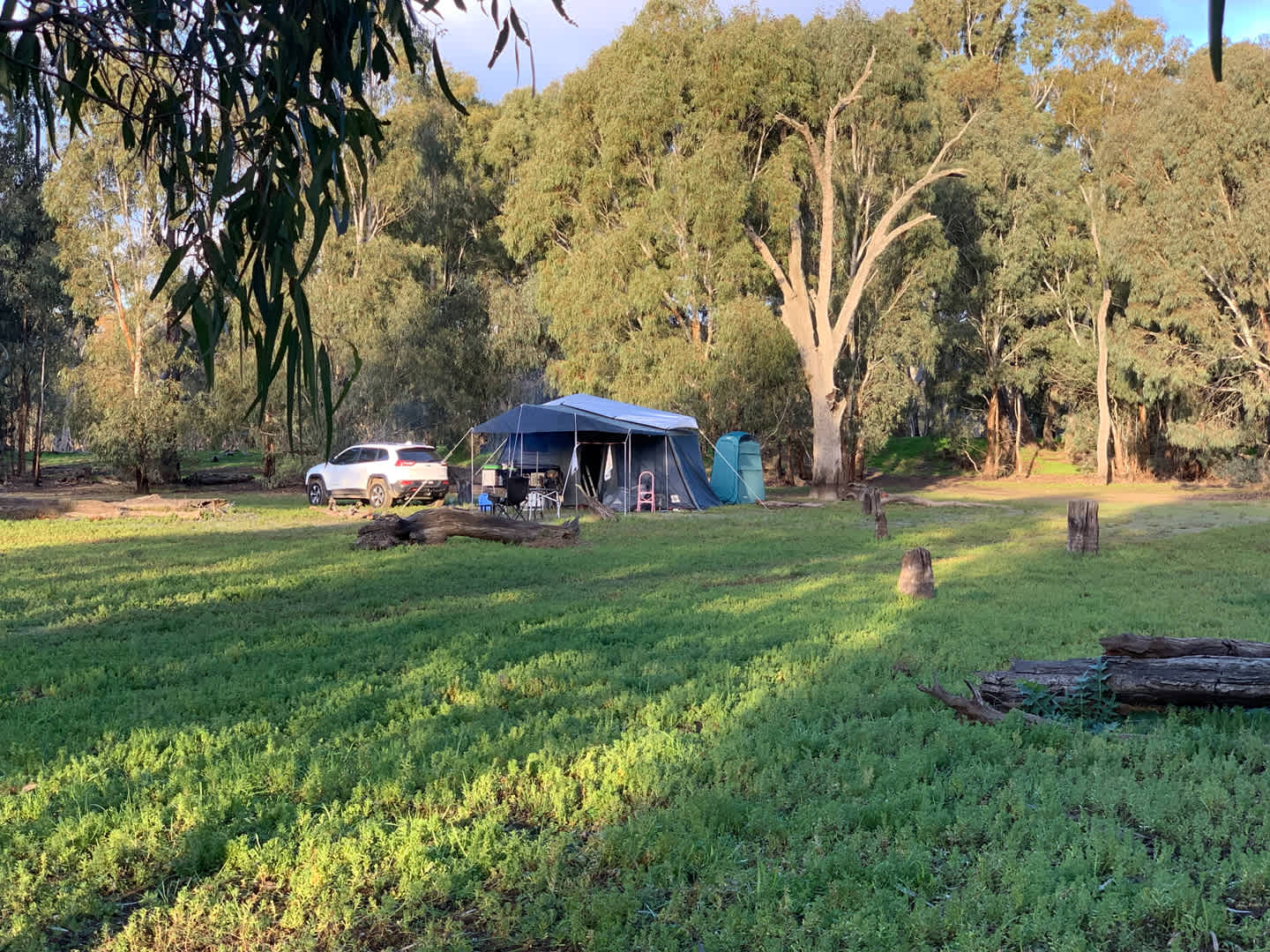 Campsite with old man weed covering the ground. Smells amazing but can make you sneeze (in a satisfying way) if you sniff too close.