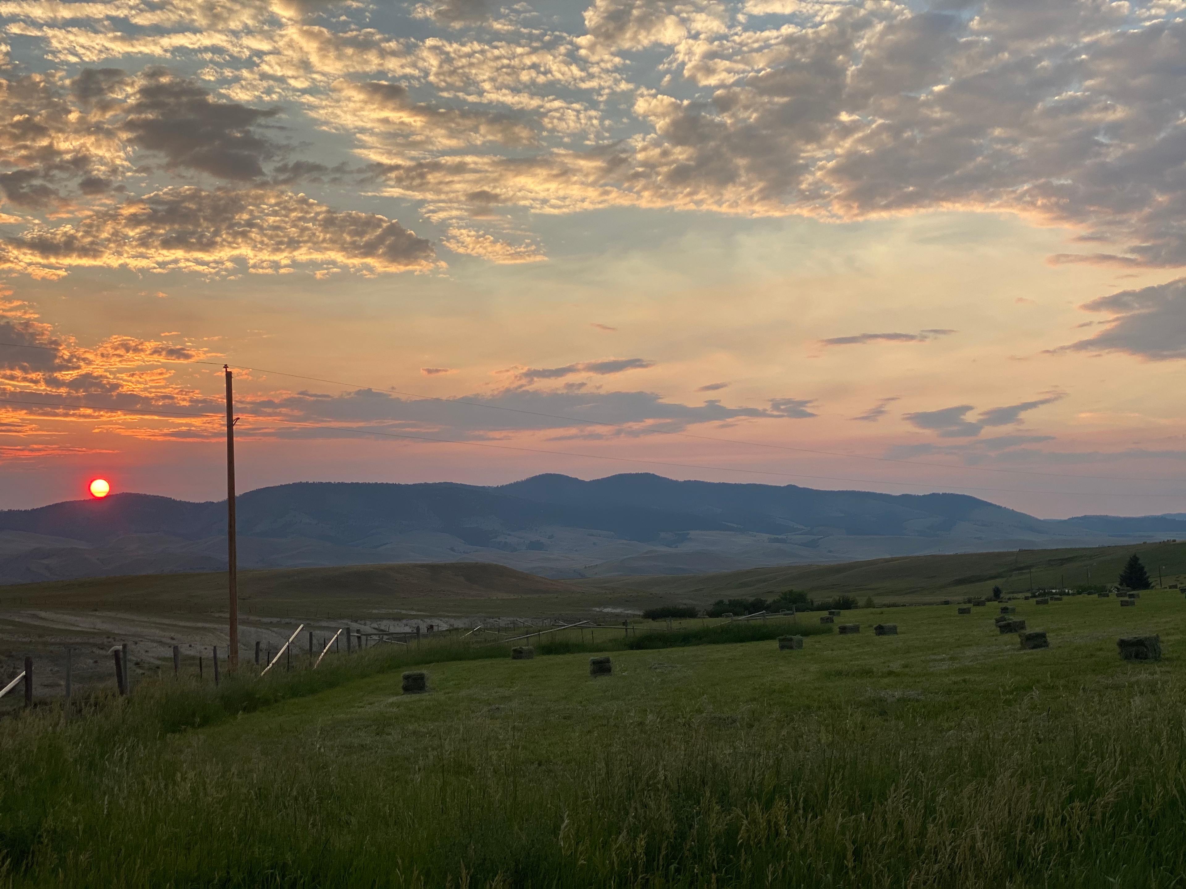 Mentzer Ranch