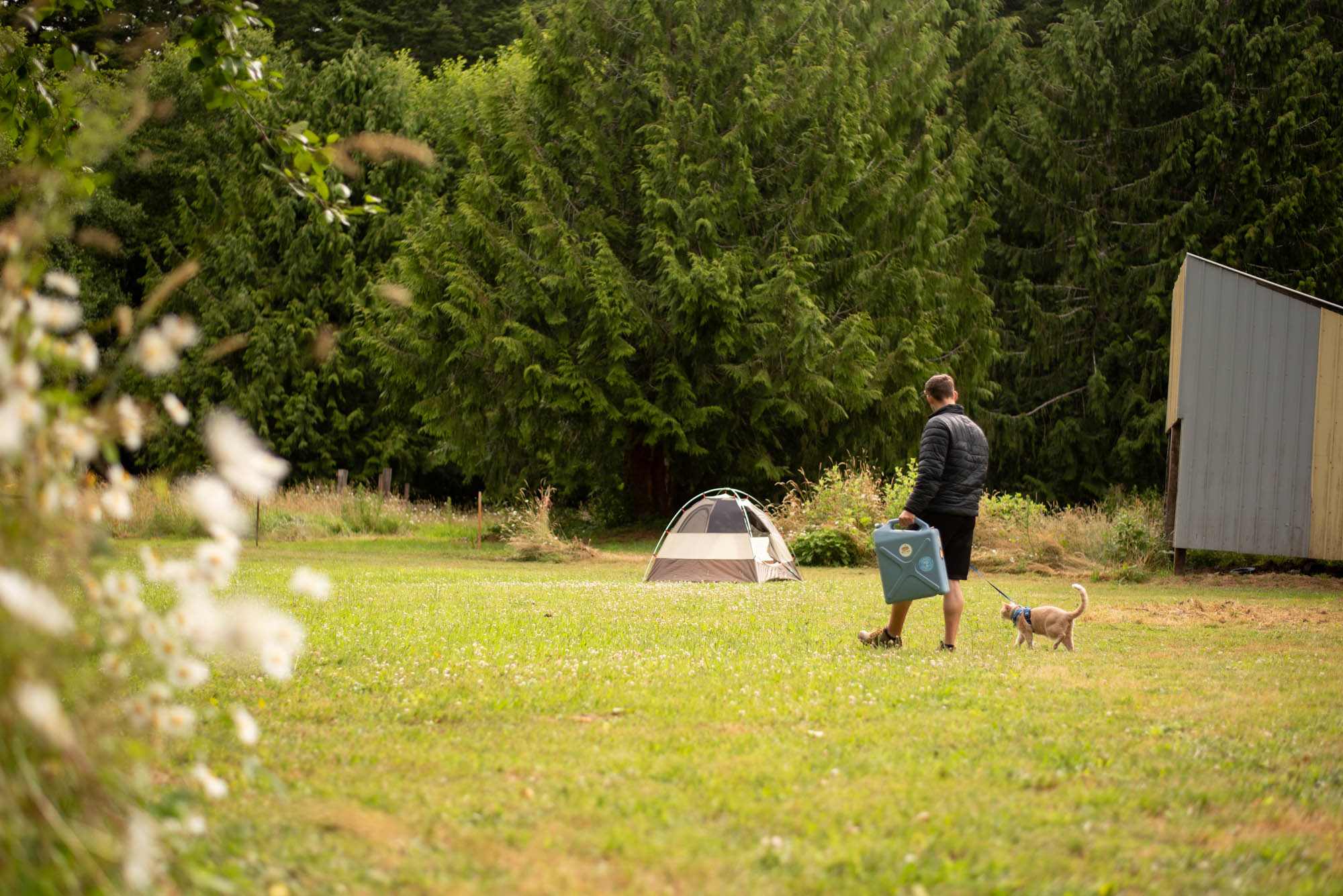 The first field to camp in.