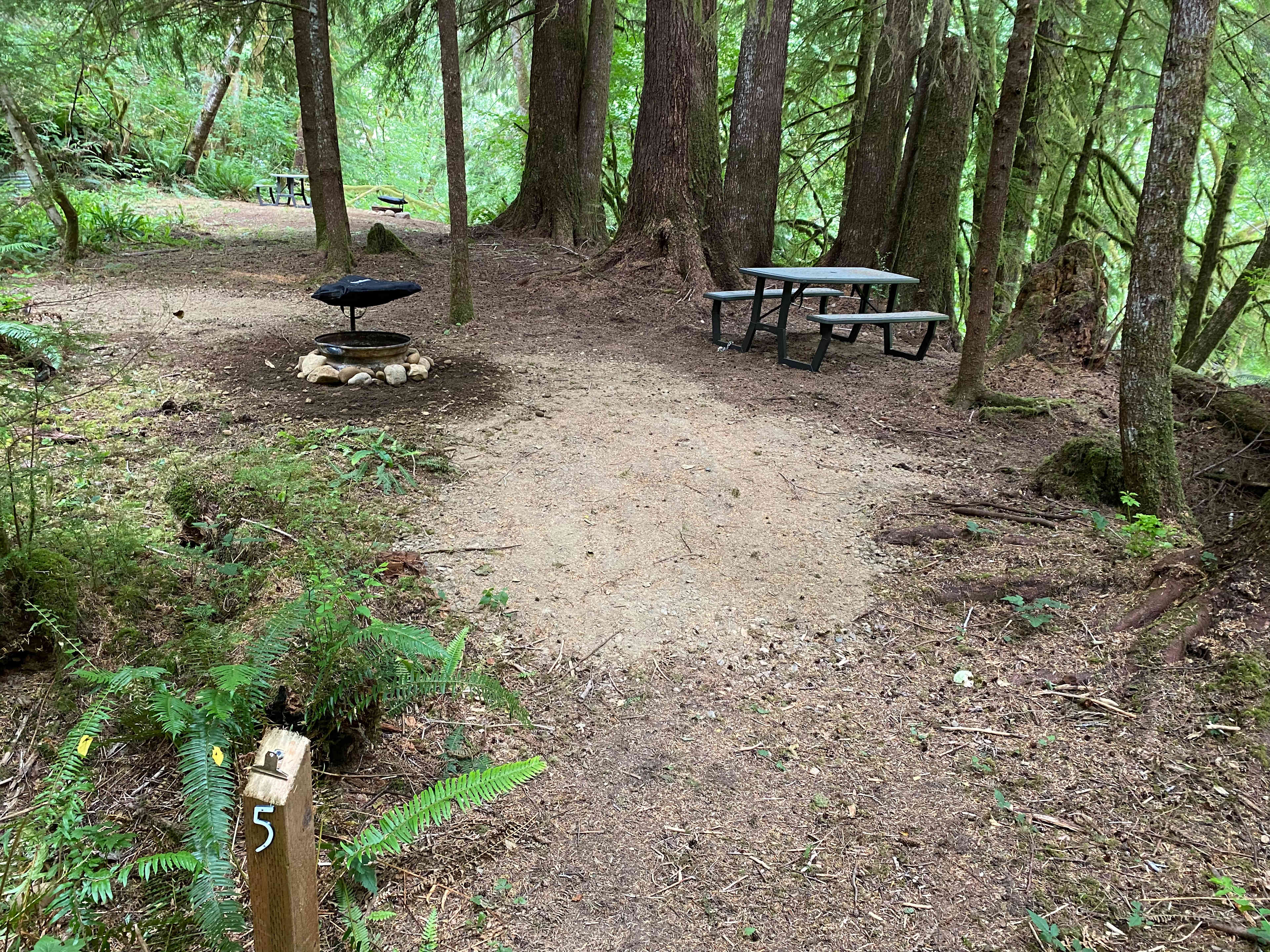 River View Site 5: Capacity 1 medium tent or 2 small tents; 120 feet from Parking 