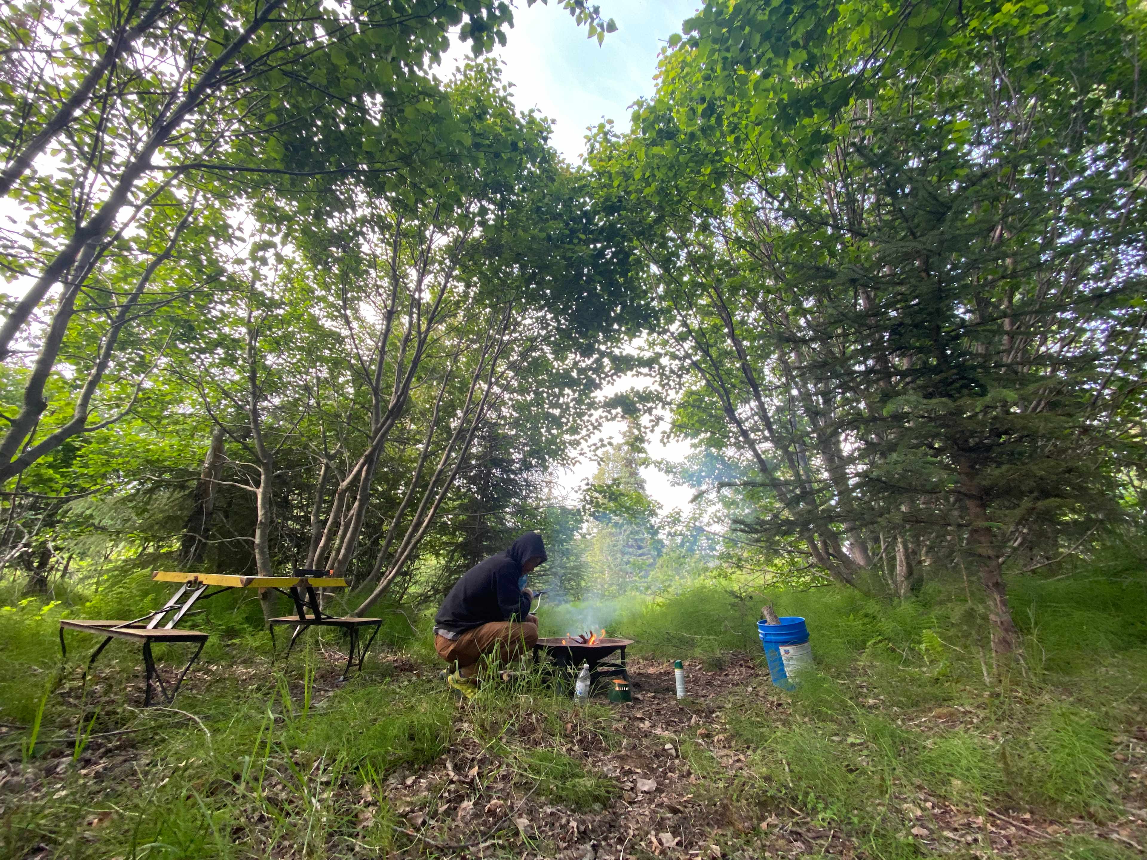 Picture of the site