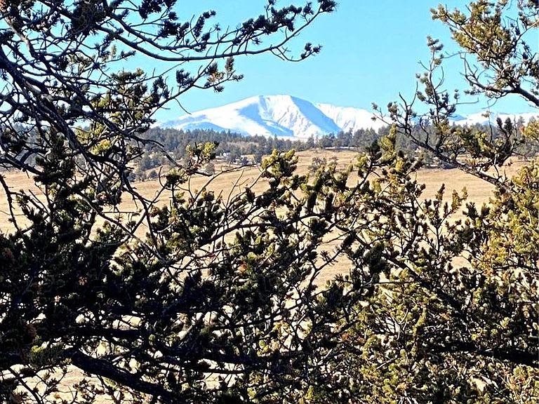 Mountain View Near Eleven Mile