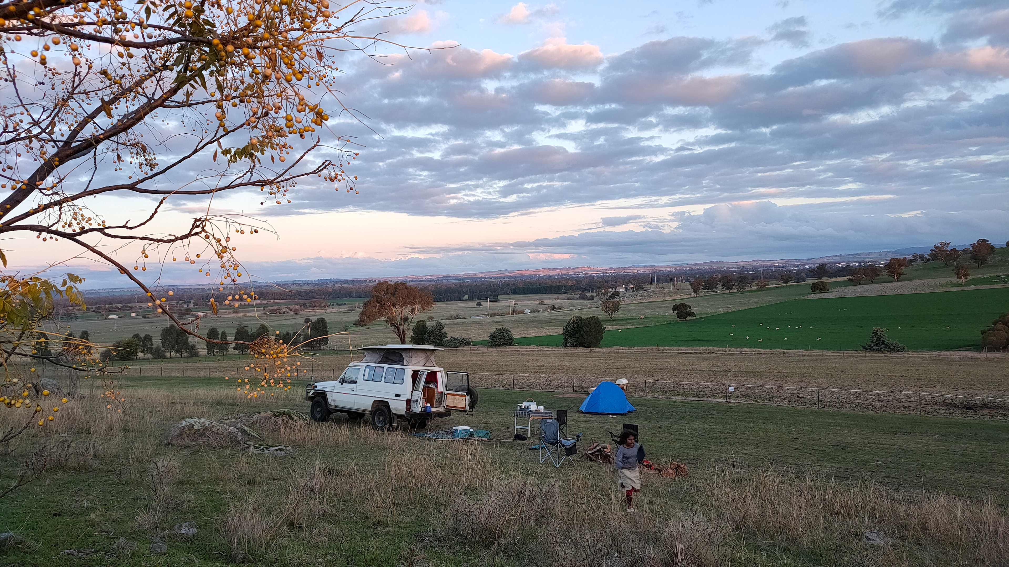 Picture of the site