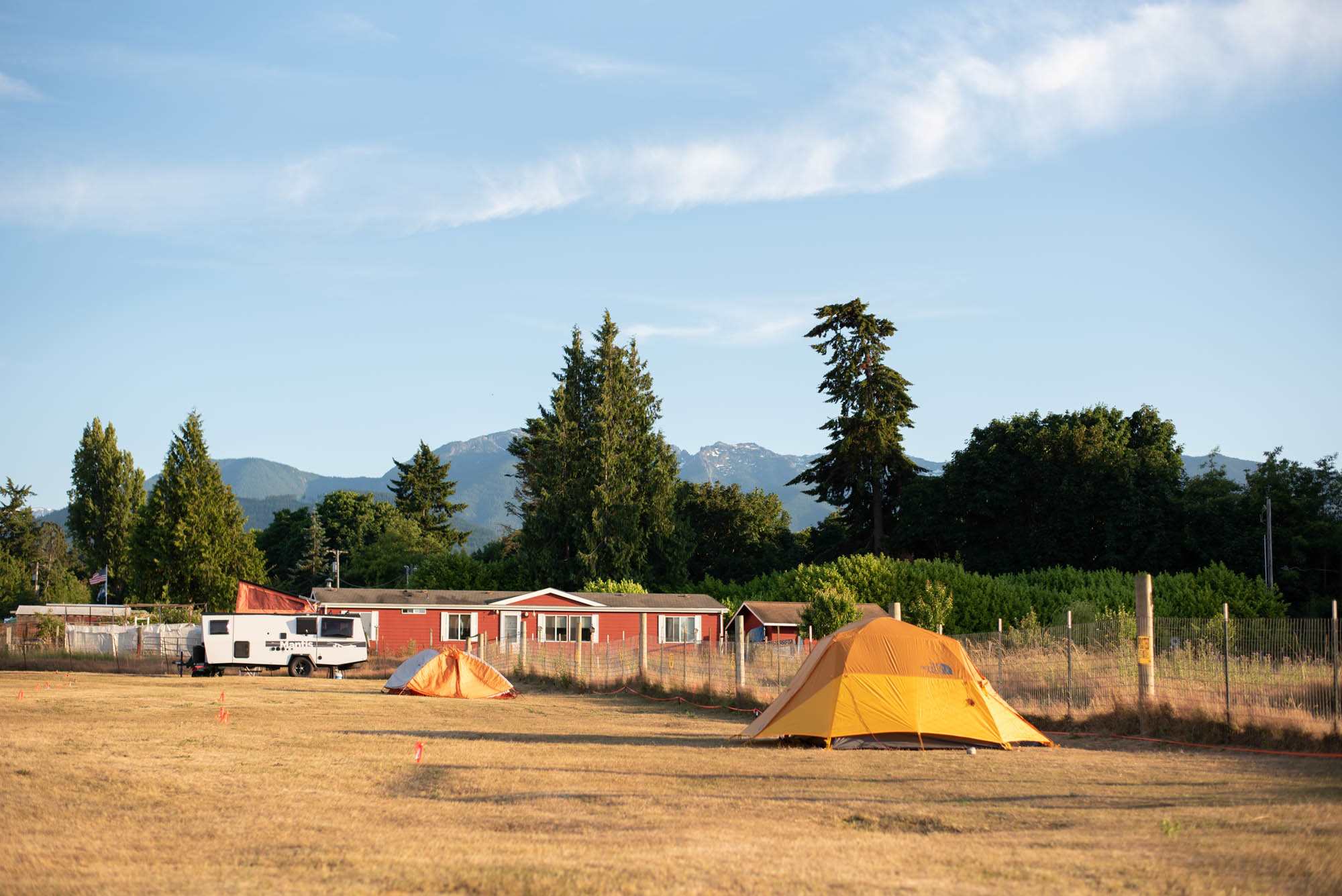 Run w/ Alpacas Farm Stay Port Angeles