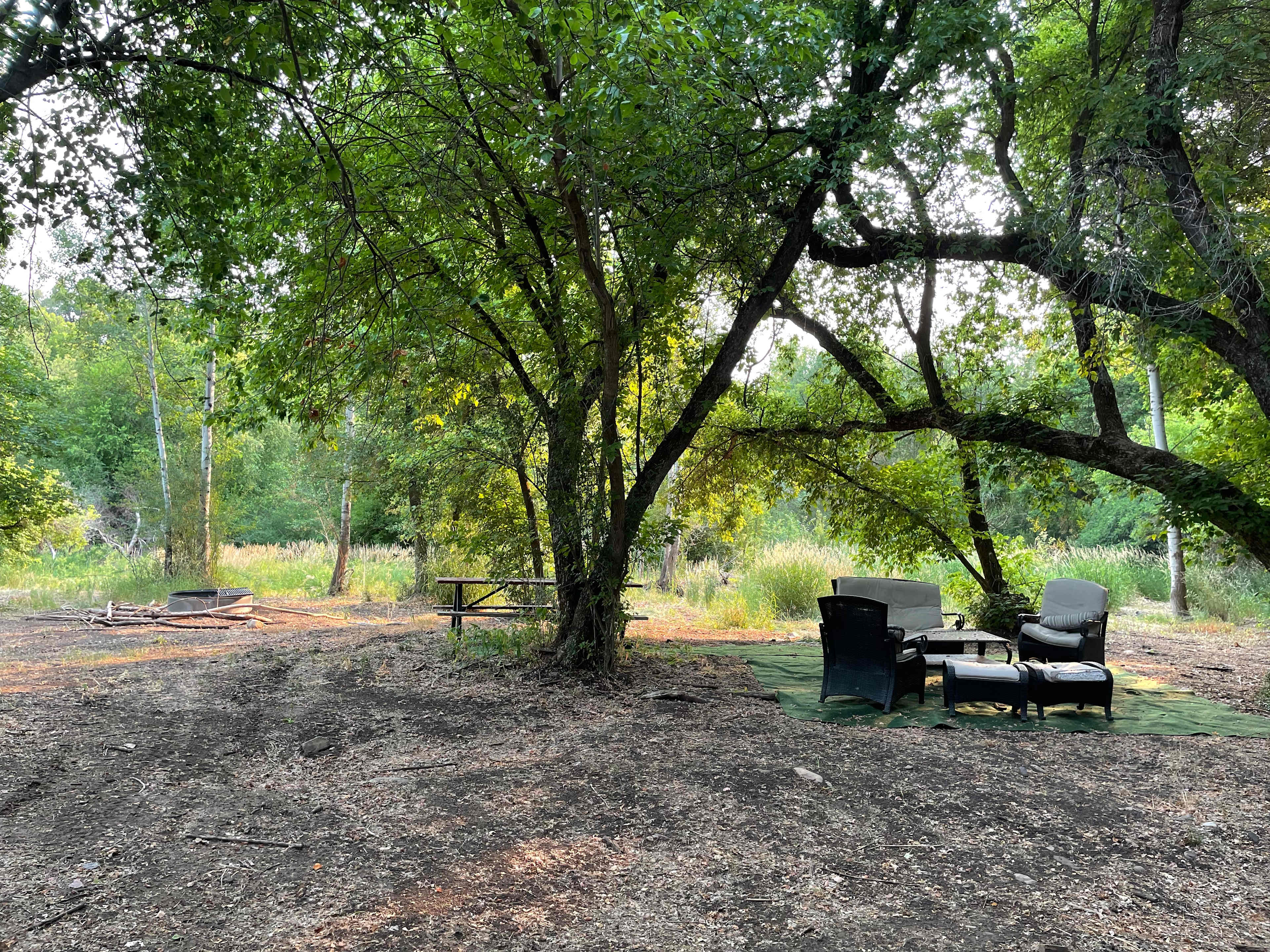 Picture of the site