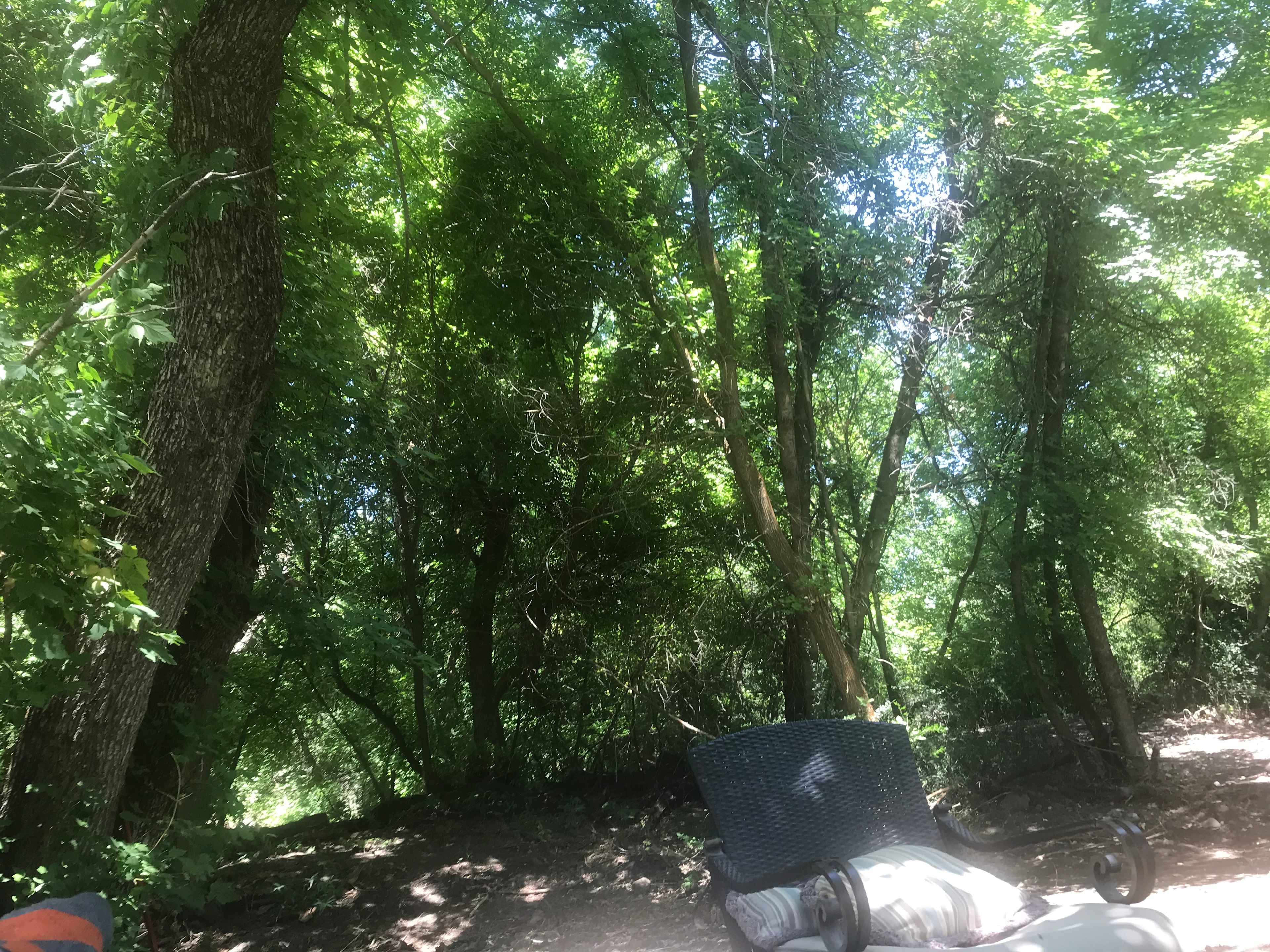 Site 1