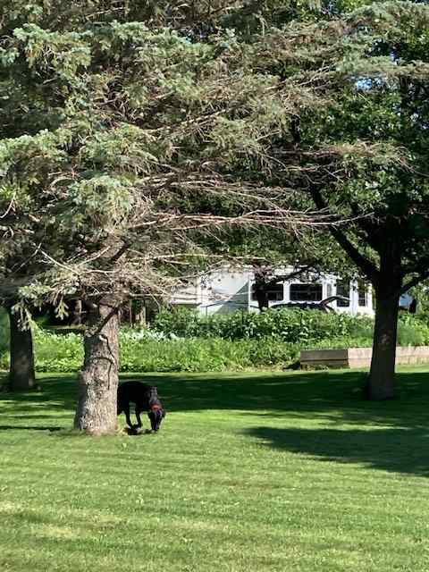 Park on our grassy, level sites