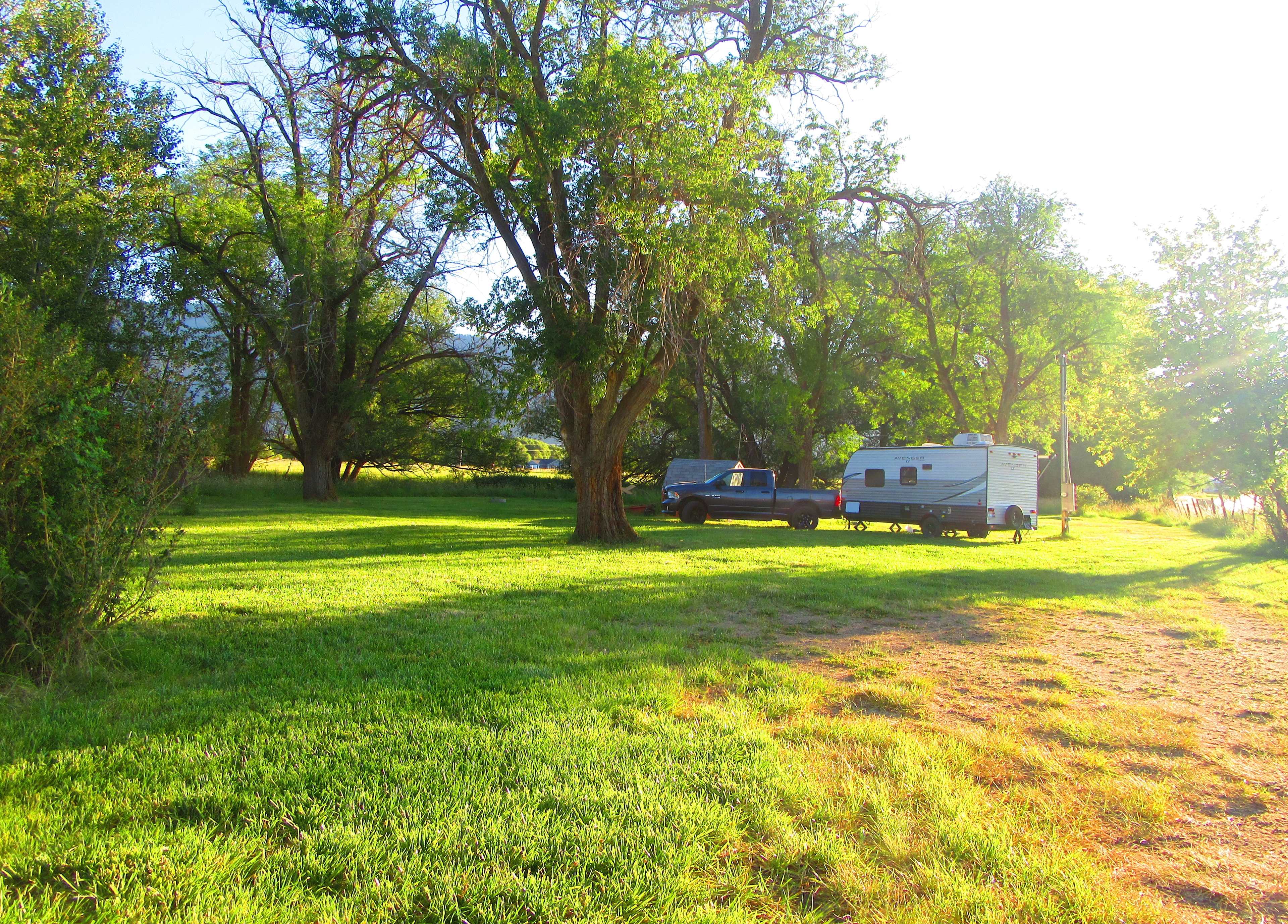 Shaded Private Camp Site
