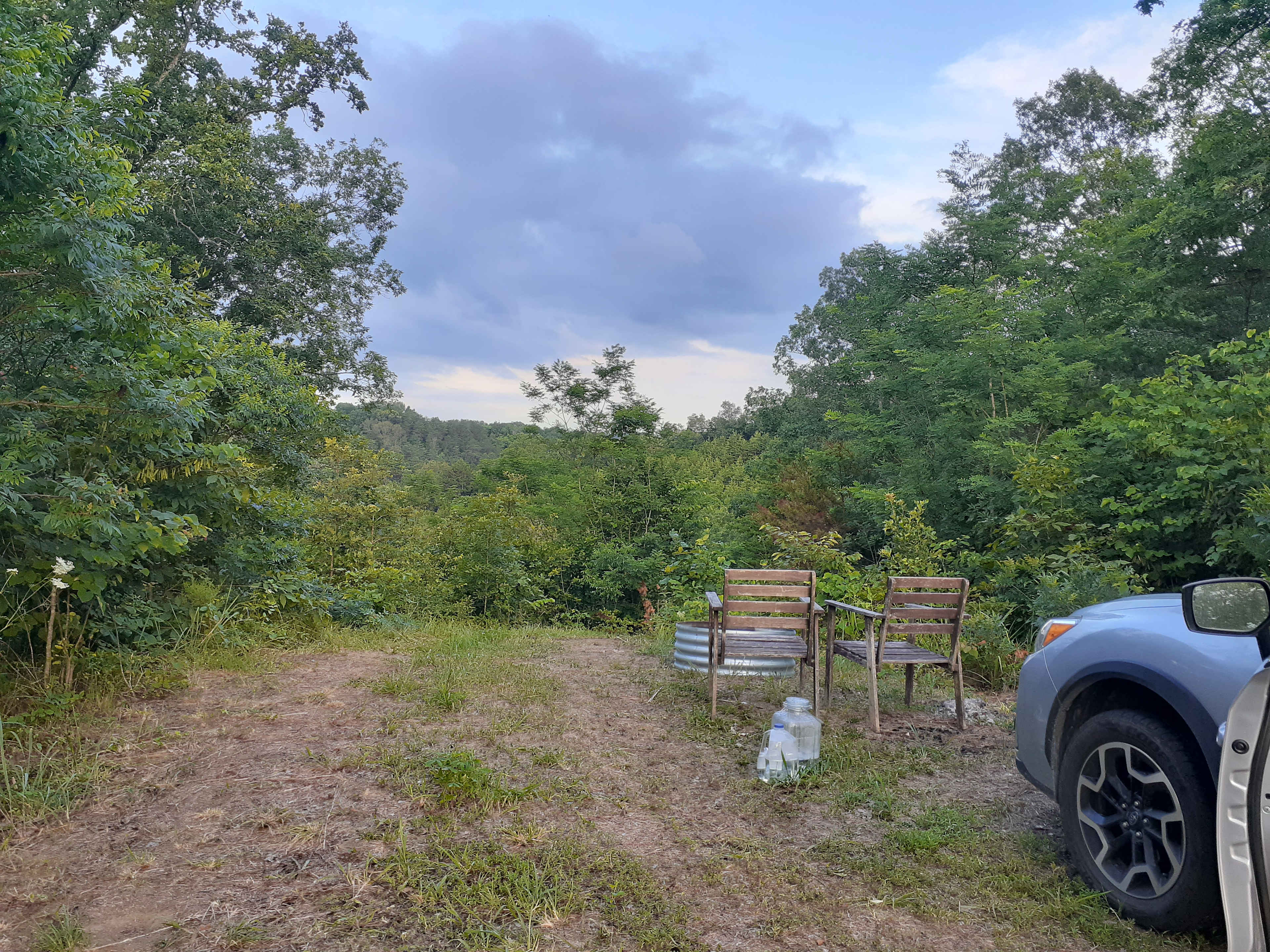 Picture of the site