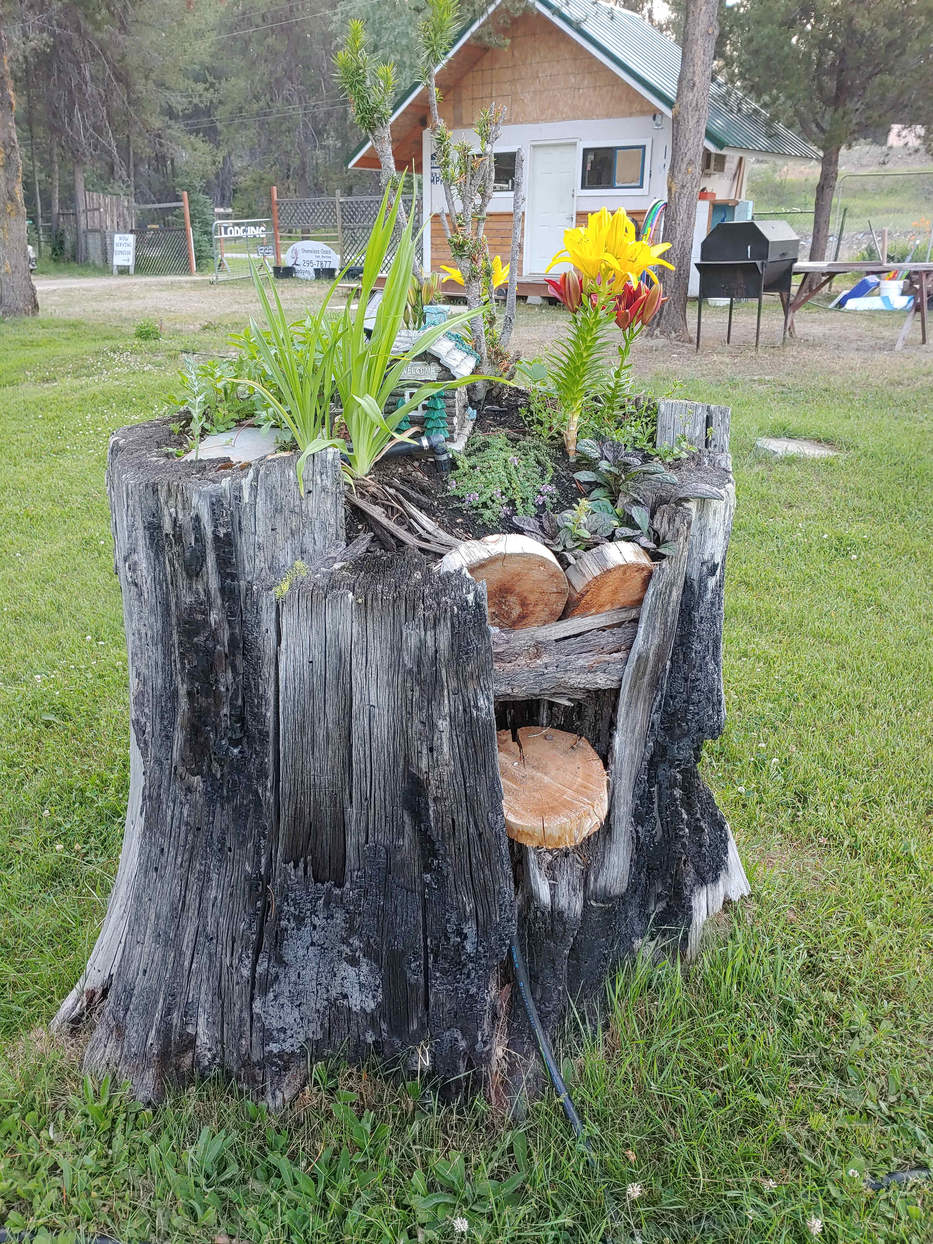 Picture of the site