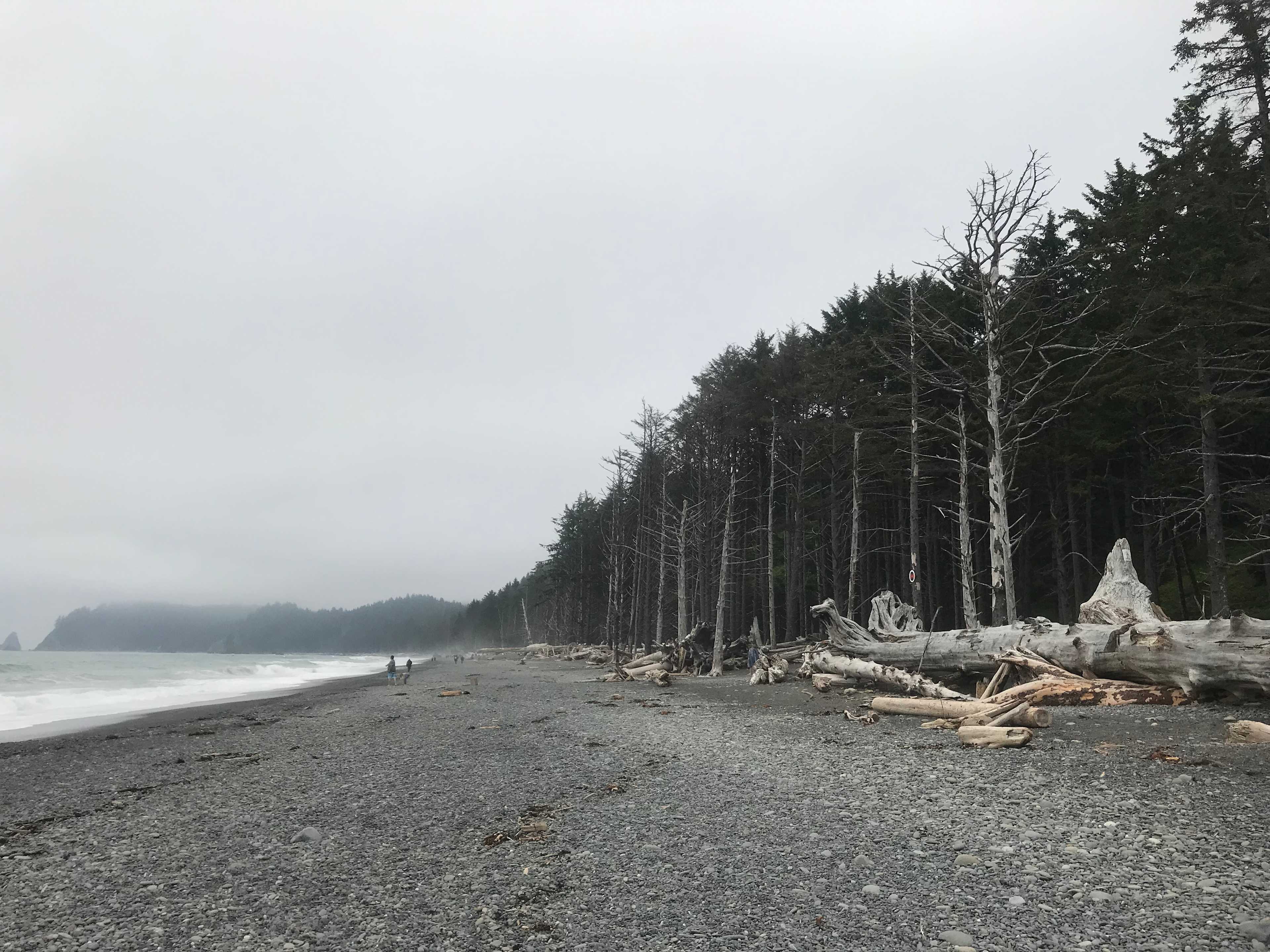 Rialto Beach