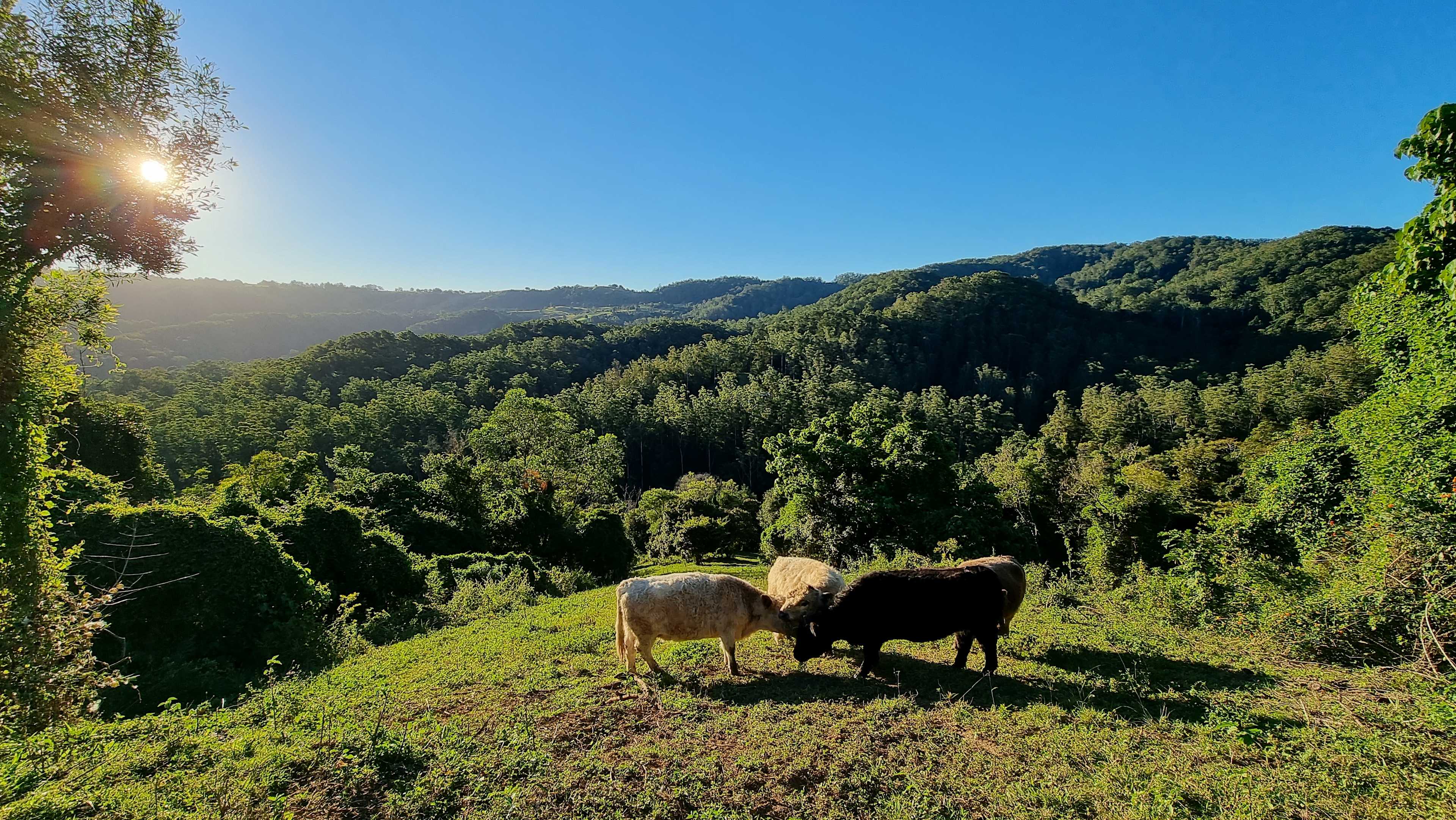 A view from the other side of the hill.