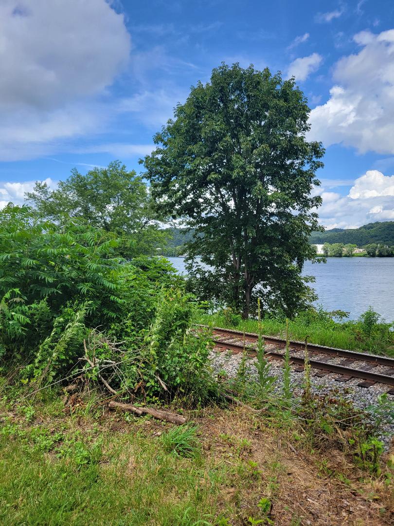Blue Heron Hideaway