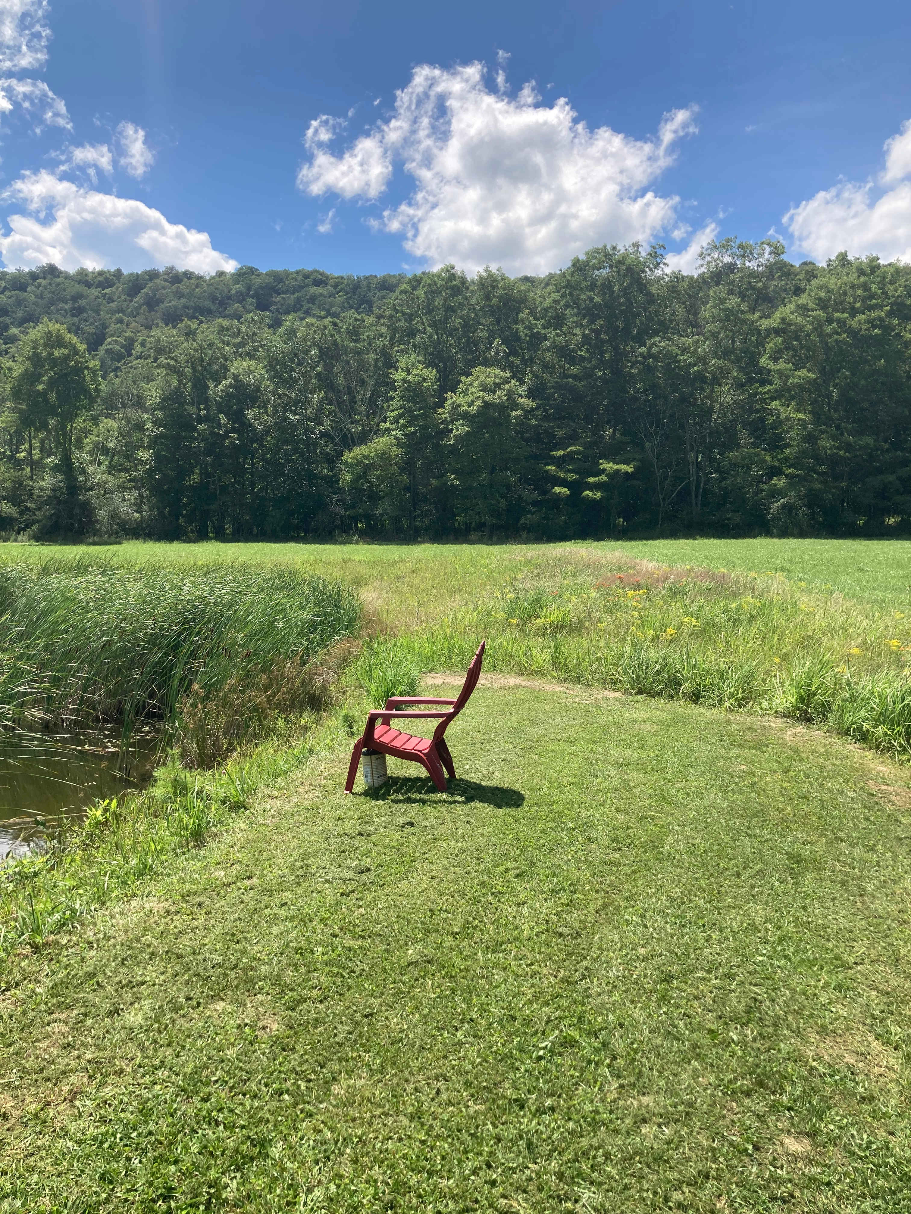 Campsite by pond 2.