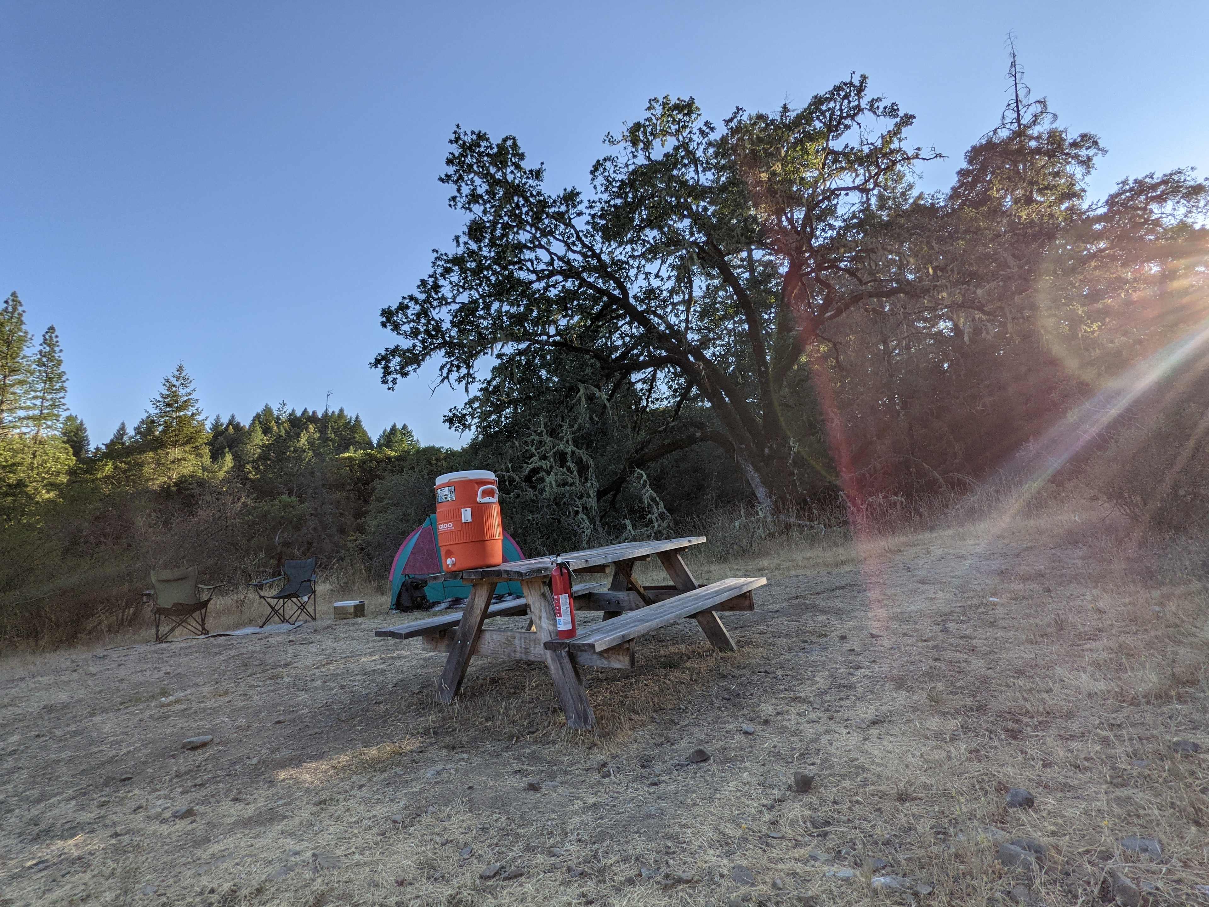 Picture of the site