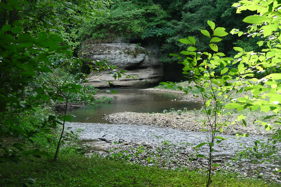 Fox Field Farms Creekside Camping