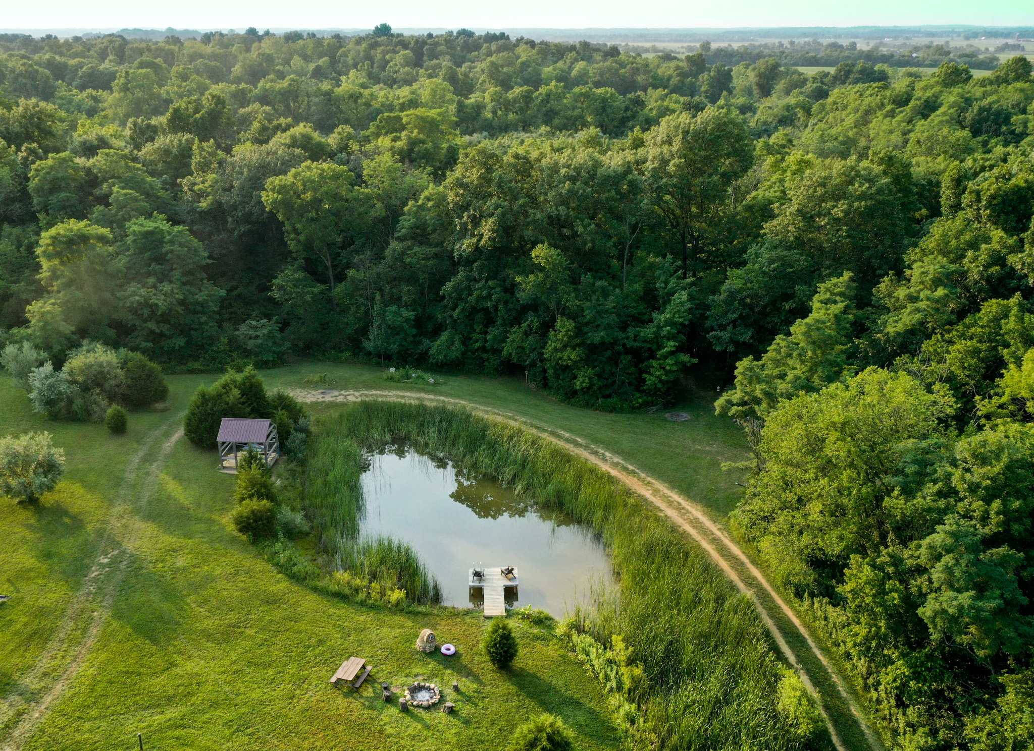 Picture of the site